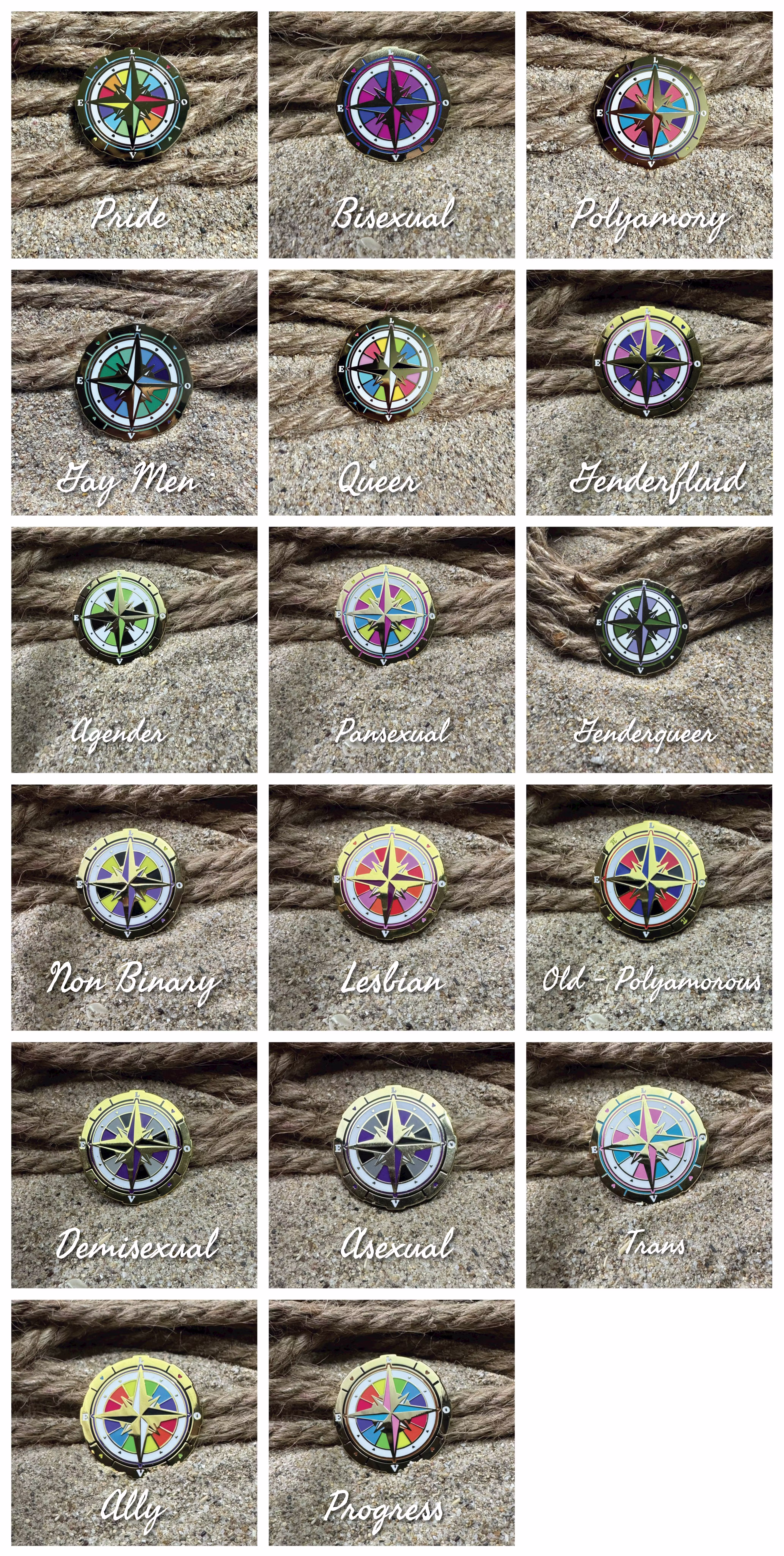 ✦  Queer North Pin