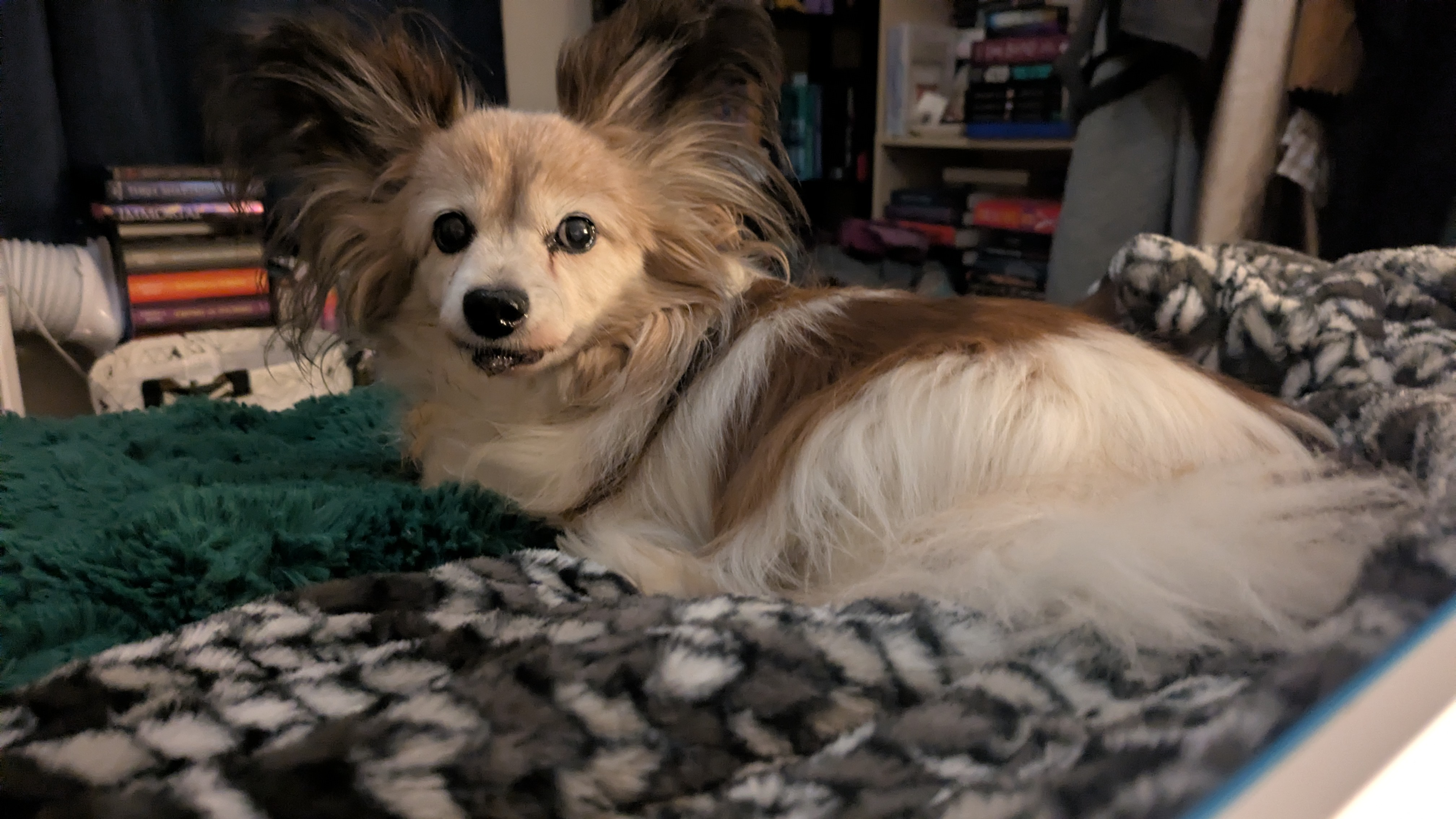 user avatar image for Jdclarke