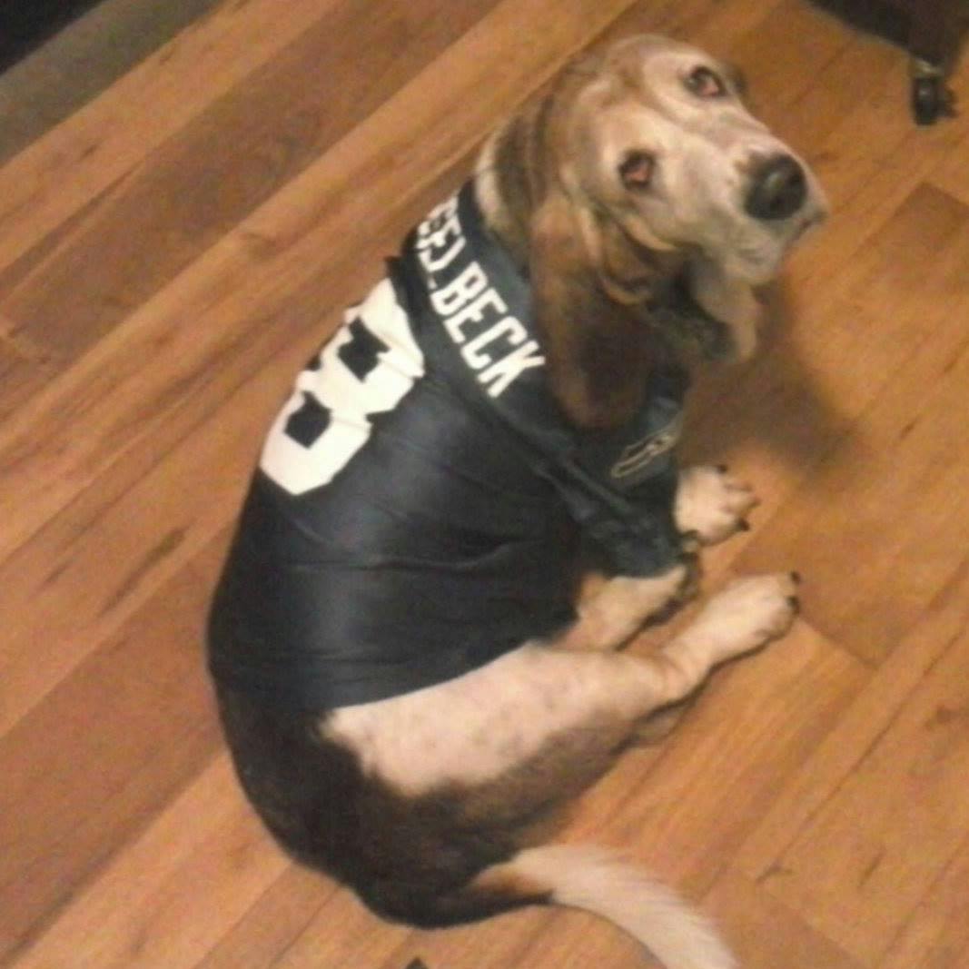 user avatar image for Terry Prentice