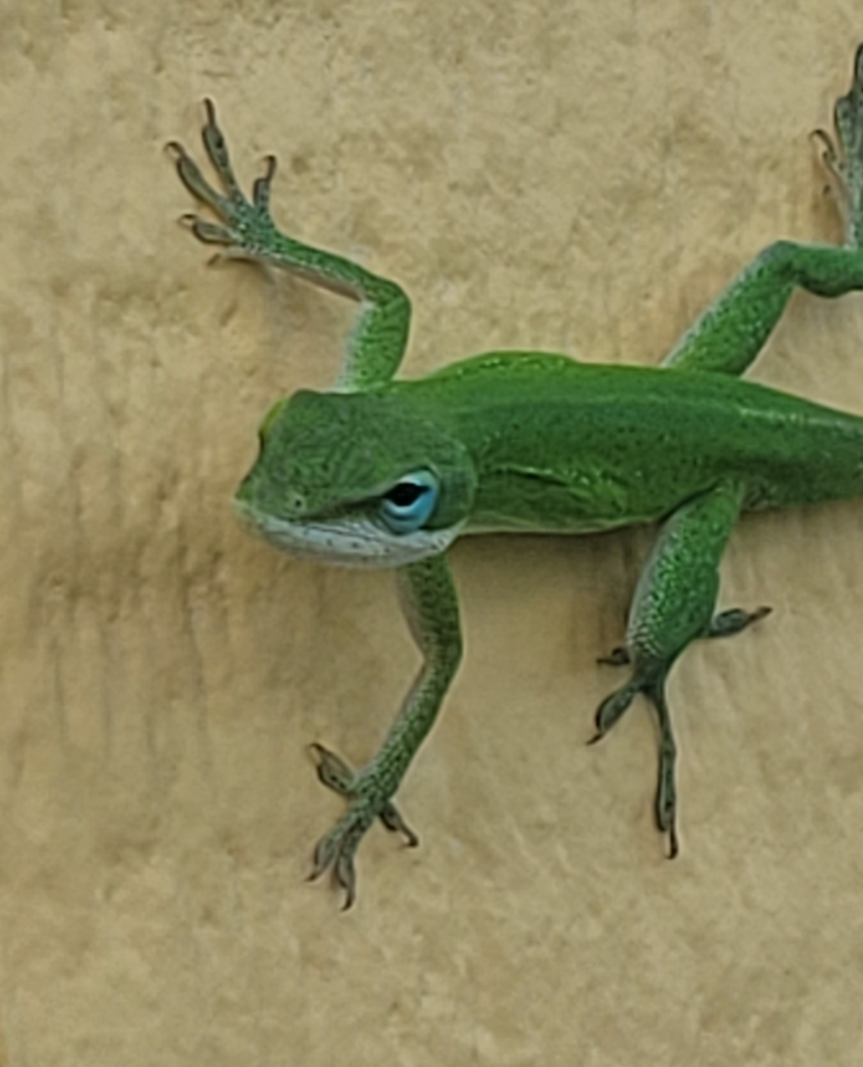 user avatar image for Michael and April Brown 