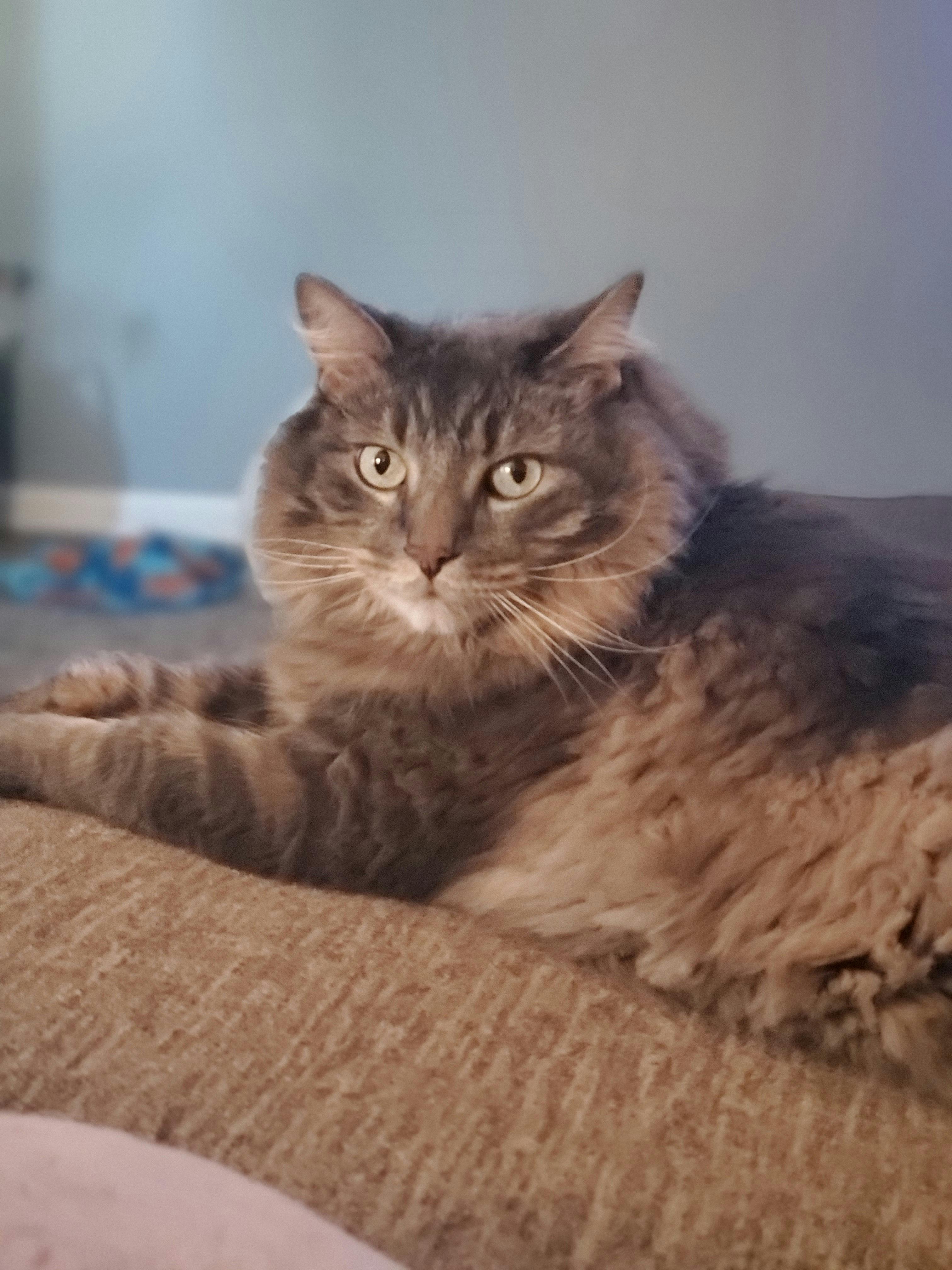 user avatar image for Emily Marquez