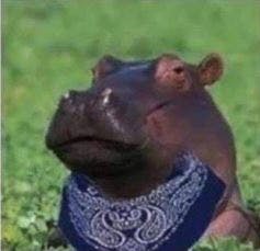 user avatar image for Jester Deren