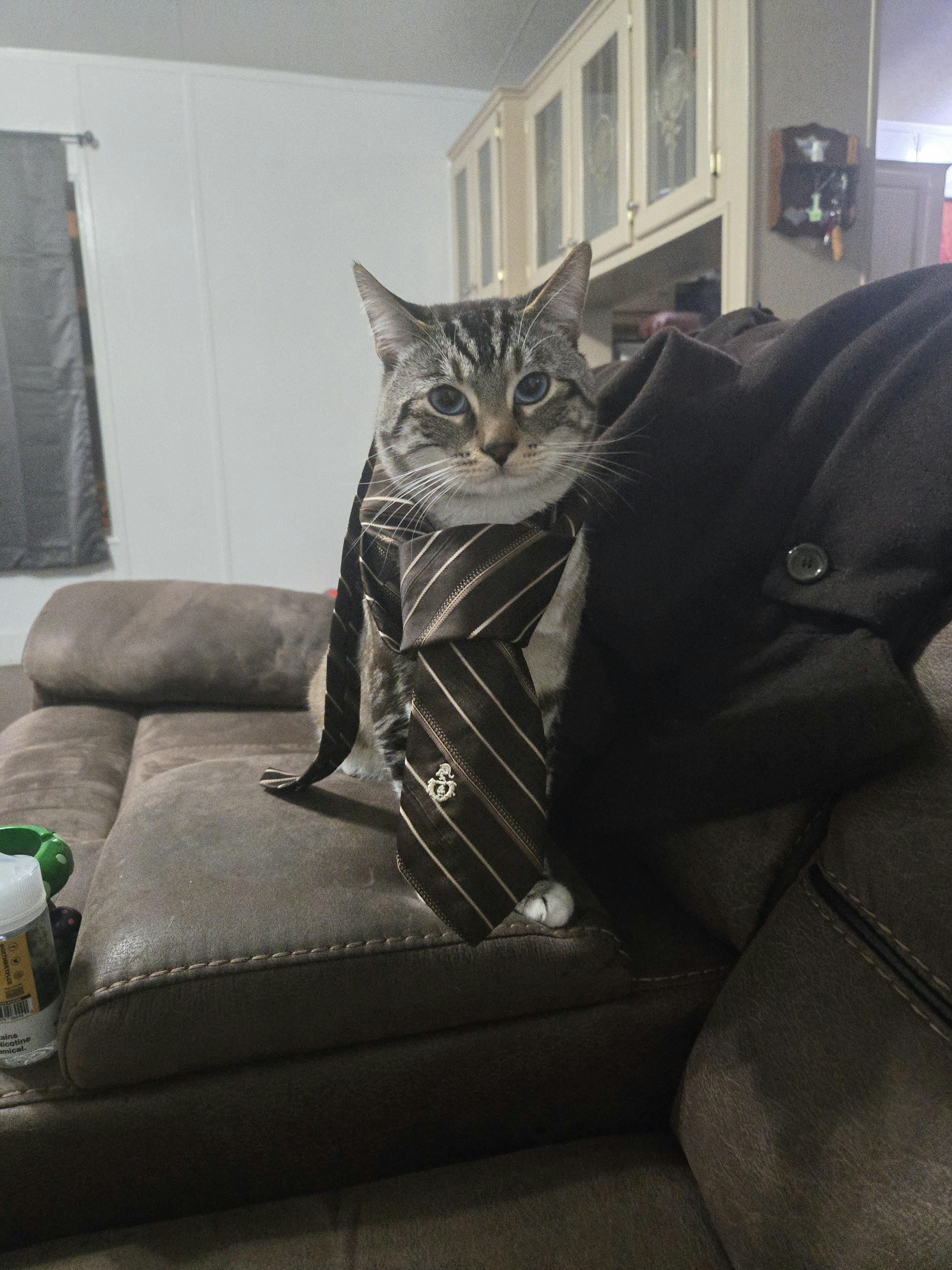 user avatar image for Anthony