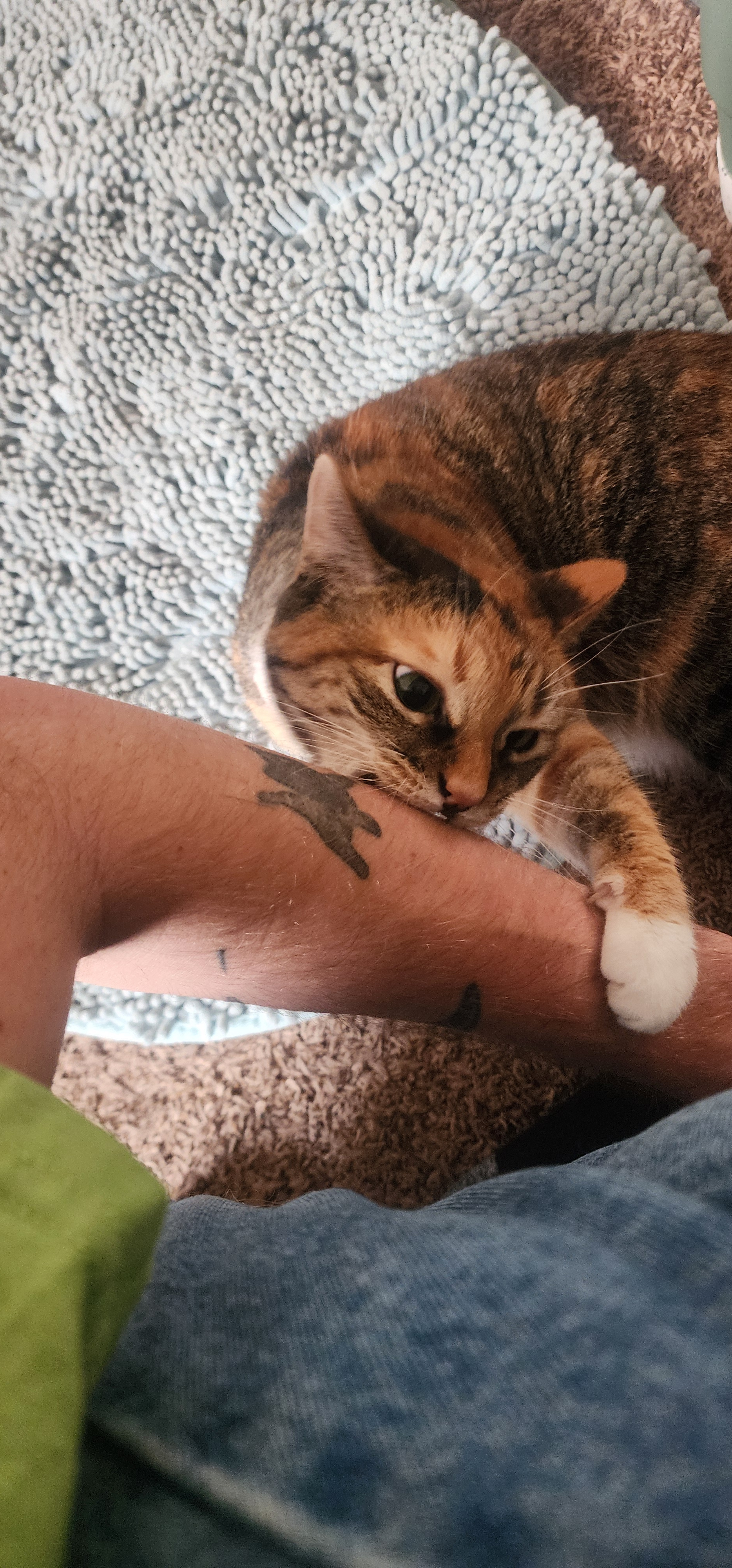 user avatar image for Rylan