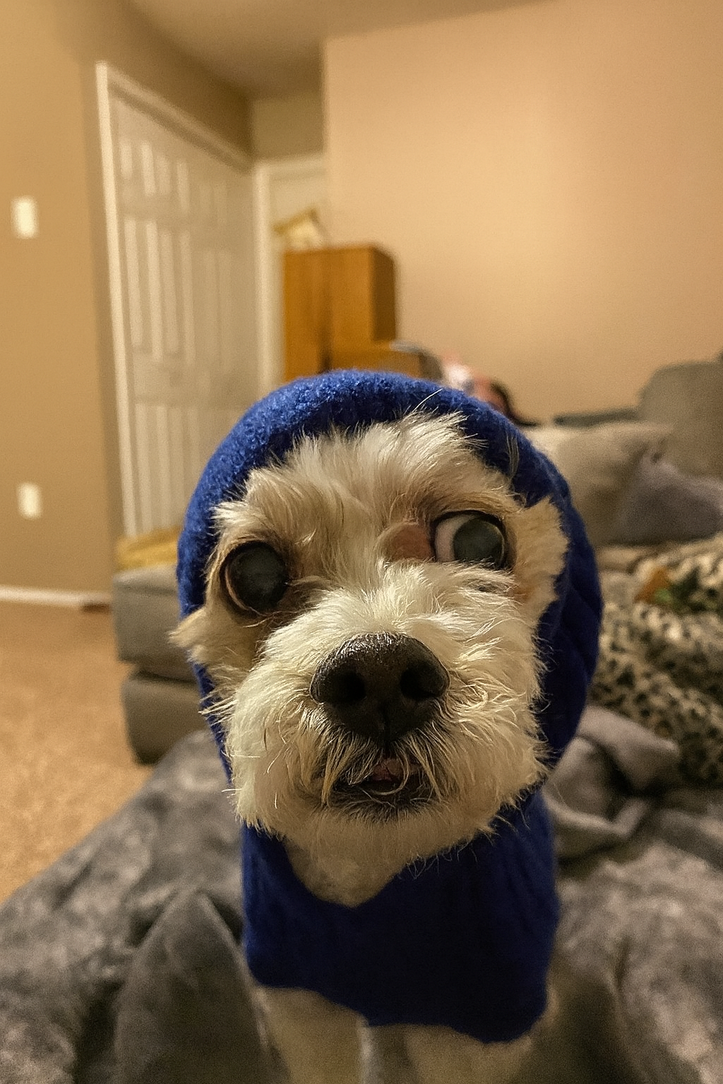 user avatar image for Chris  Casey