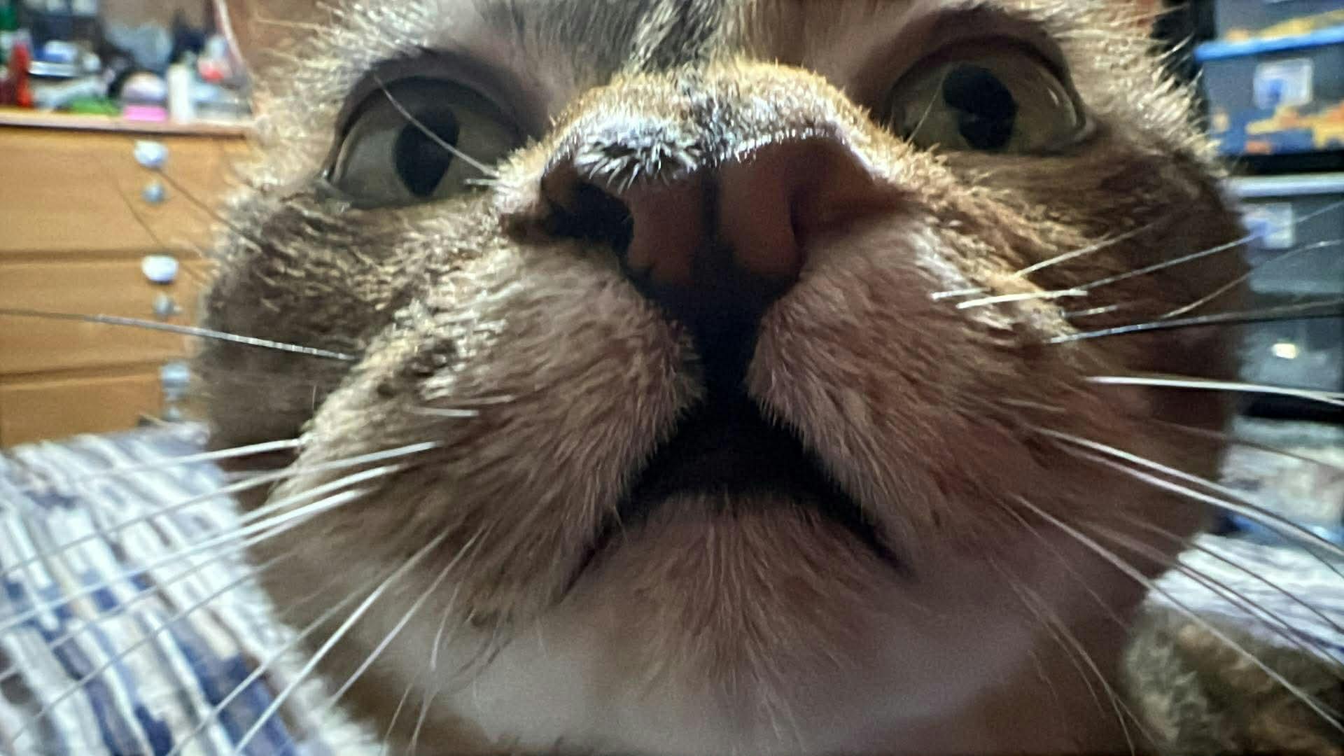 user avatar image for Katie Schuette