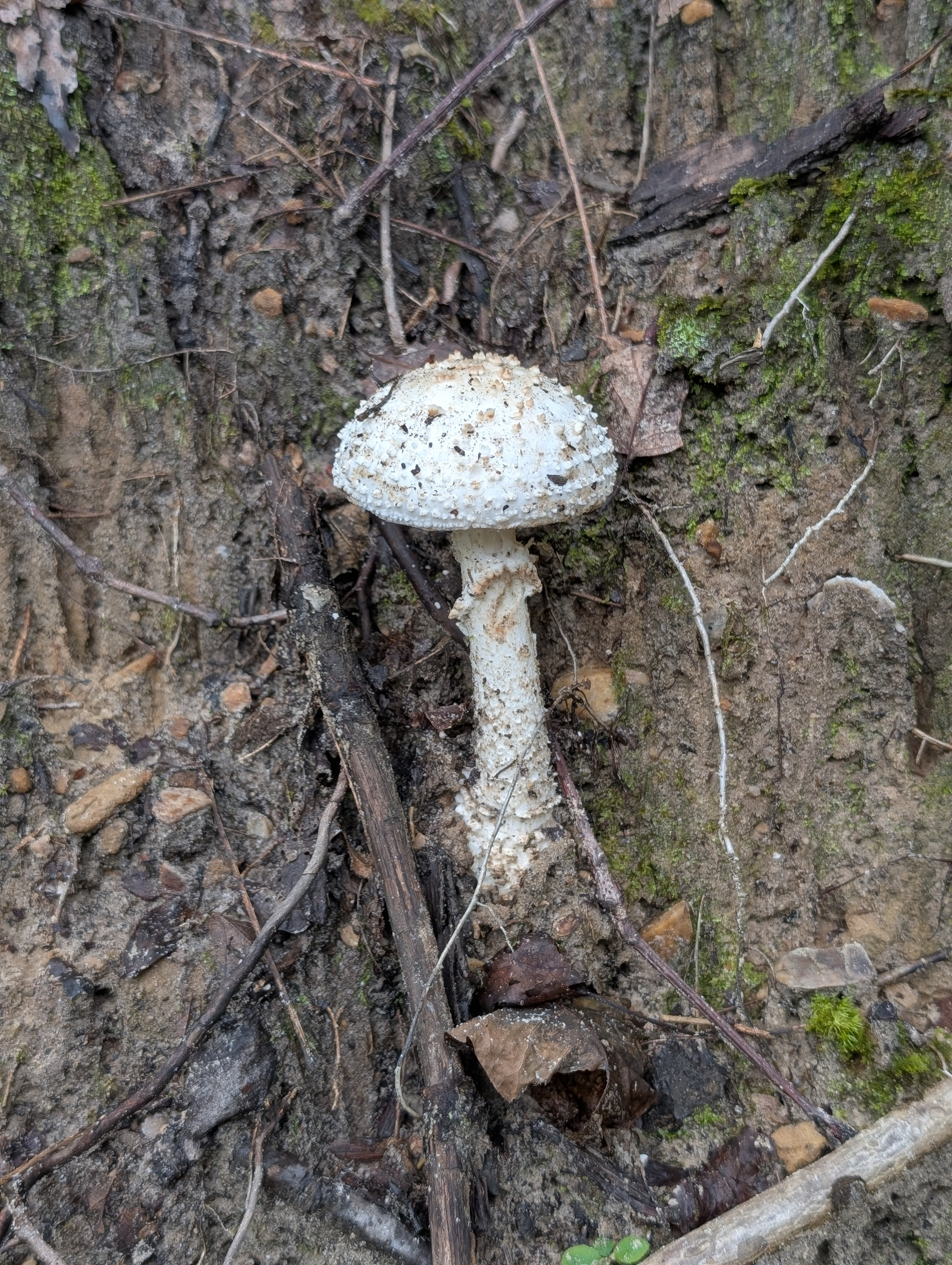 user avatar image for Alex r