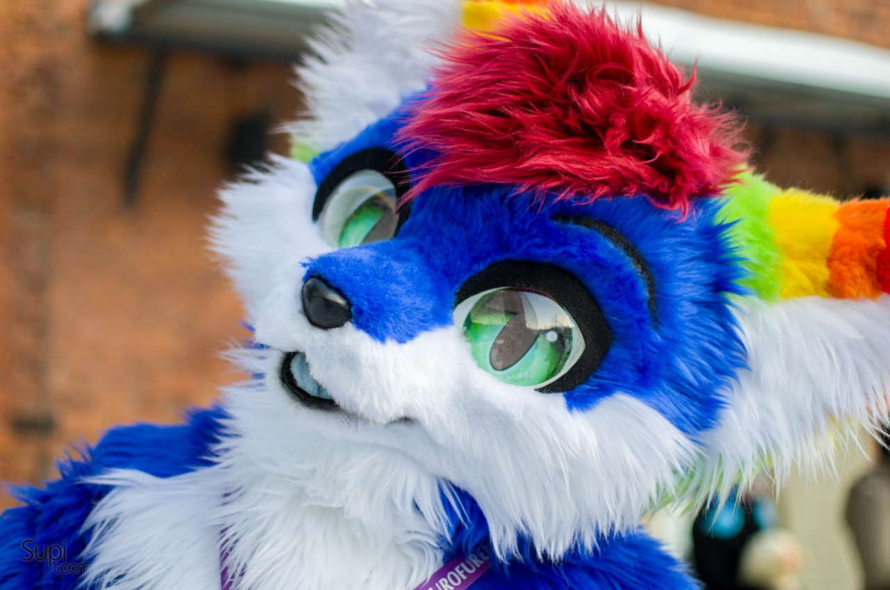 user avatar image for Tinka