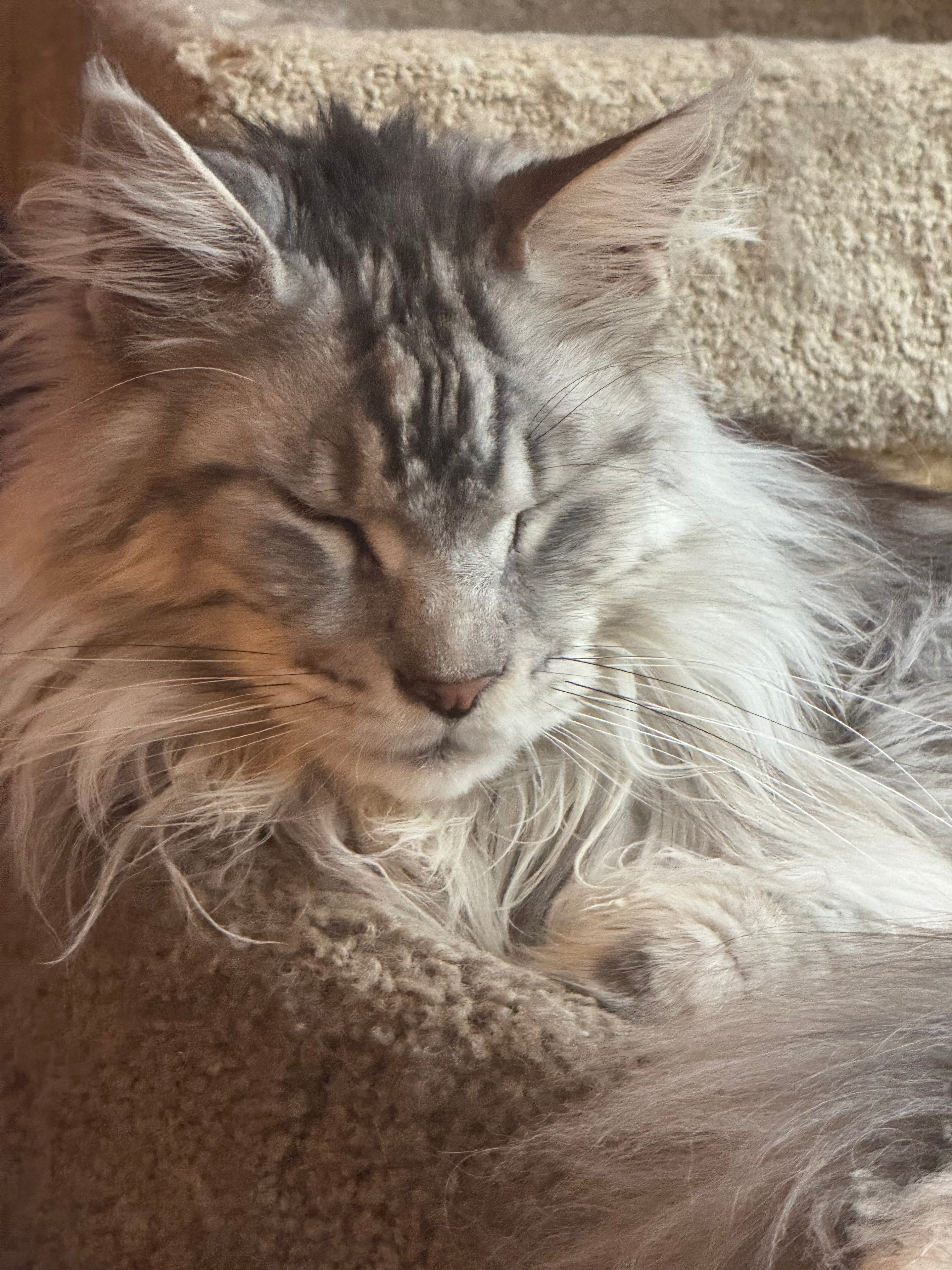 user avatar image for Kat