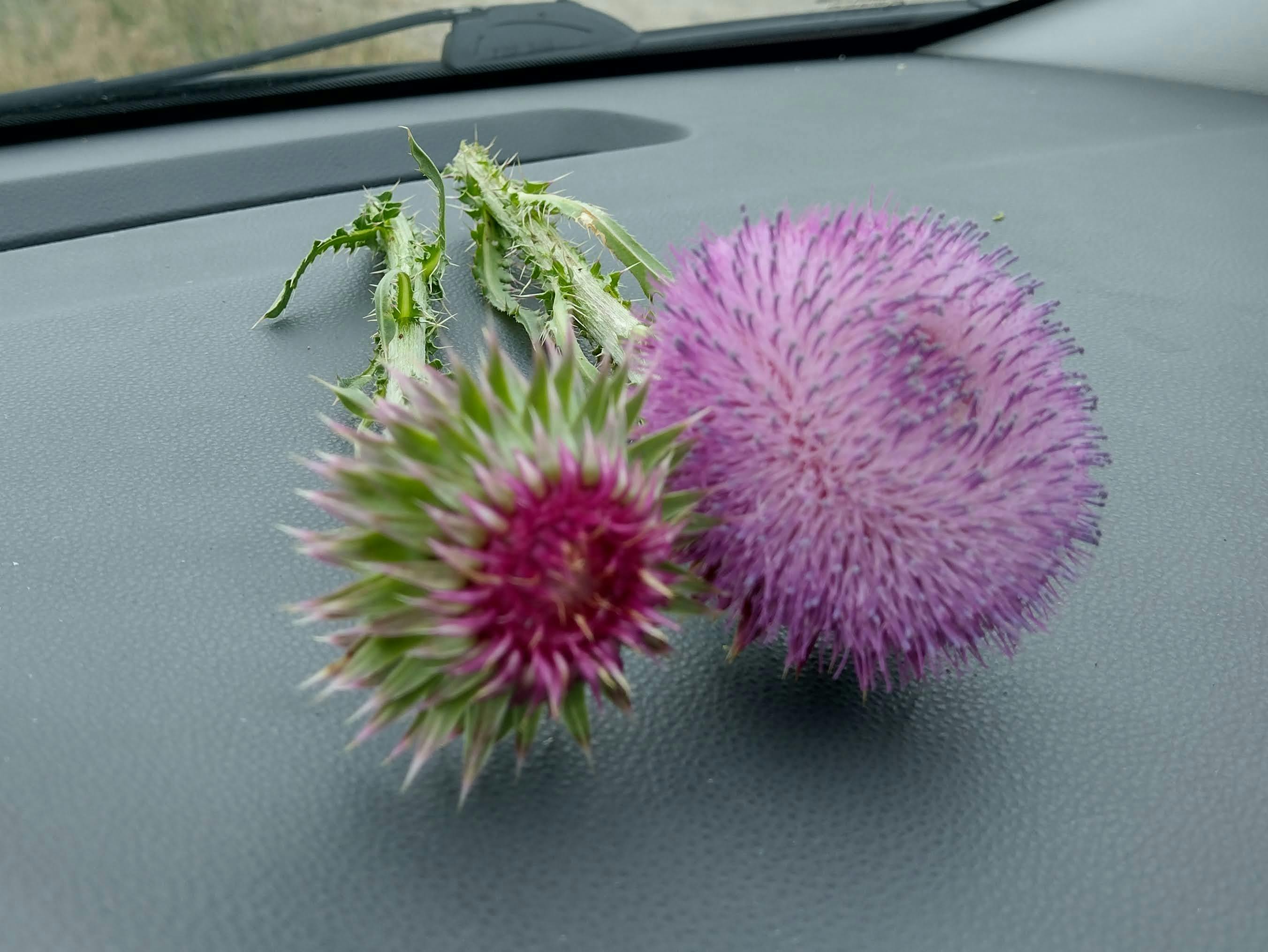 user avatar image for Ryan L