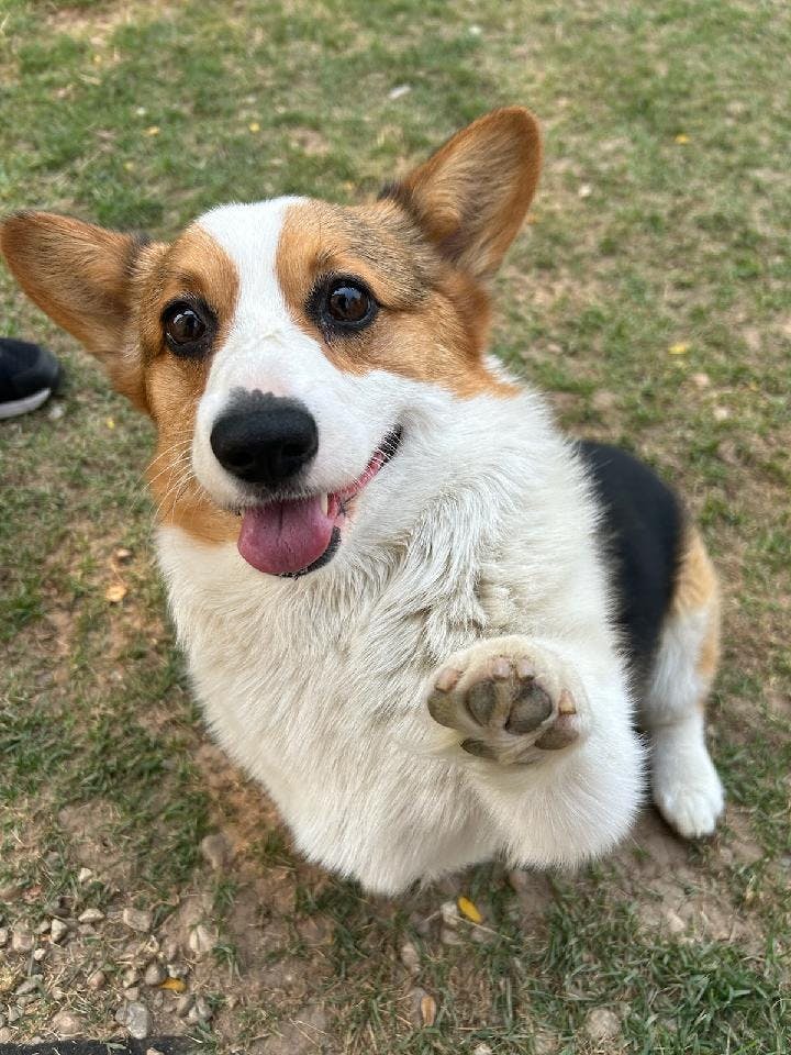 user avatar image for Dave Hammond