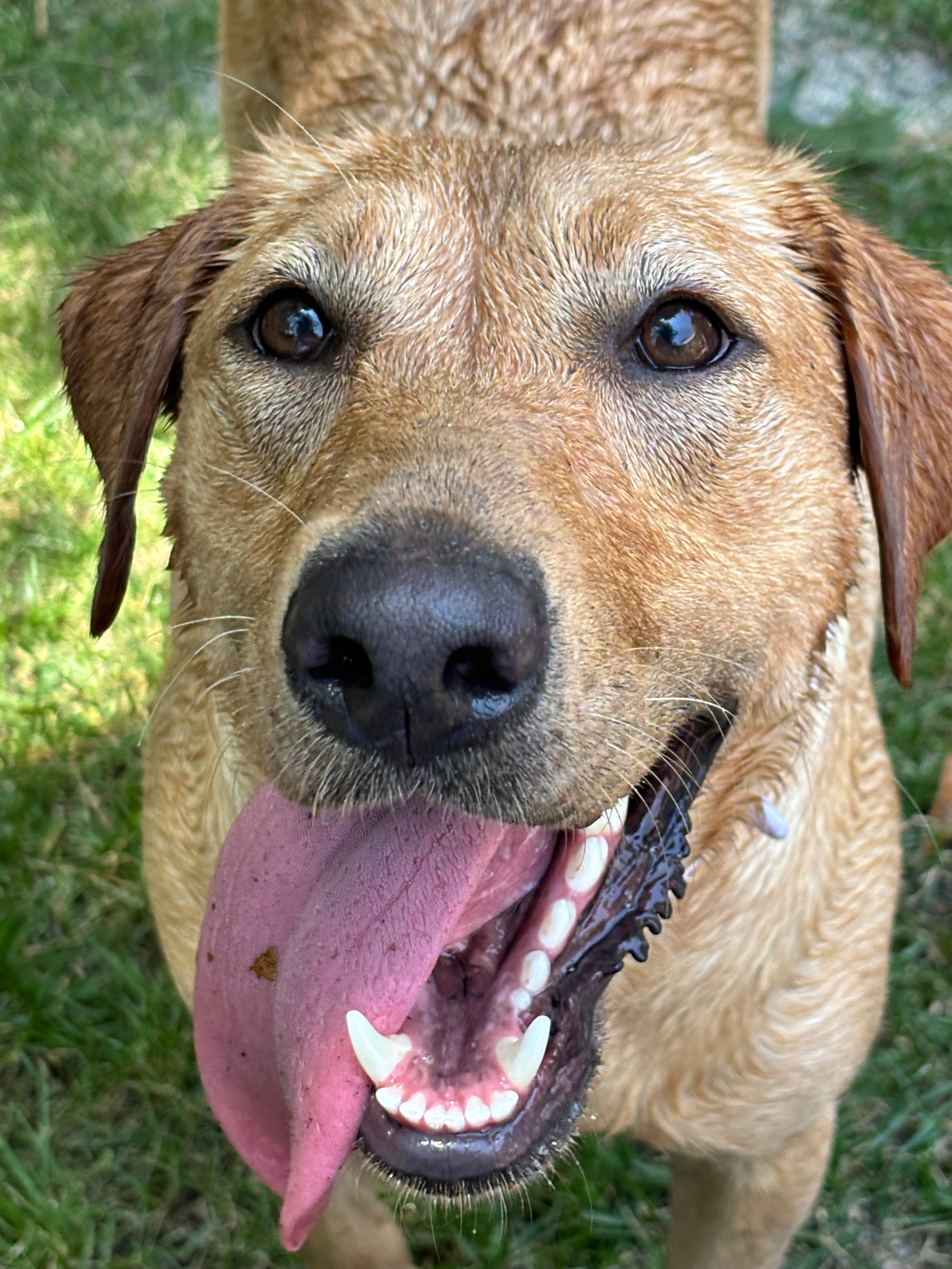 user avatar image for Bailey Scribner