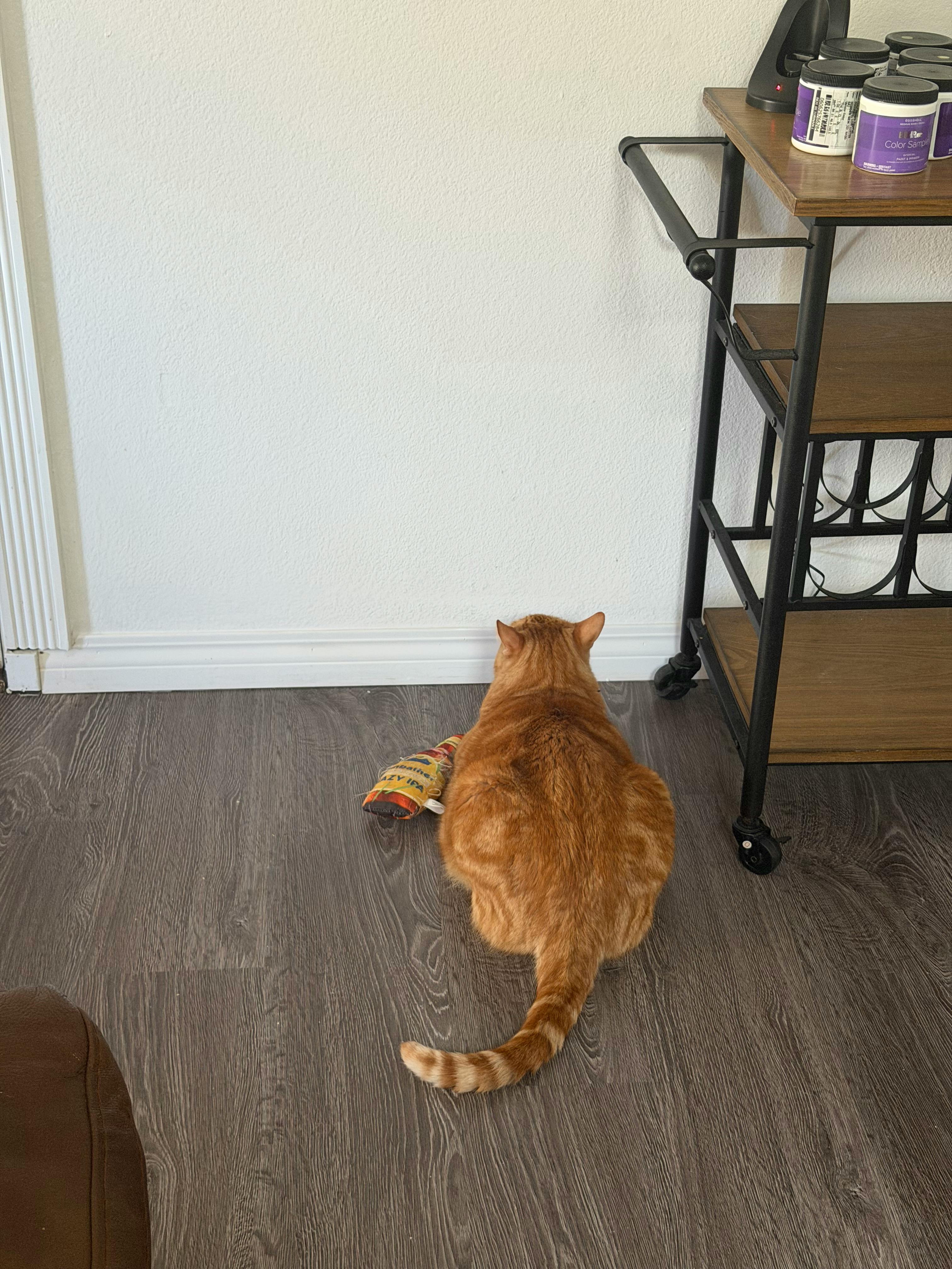 user avatar image for Themadtadder