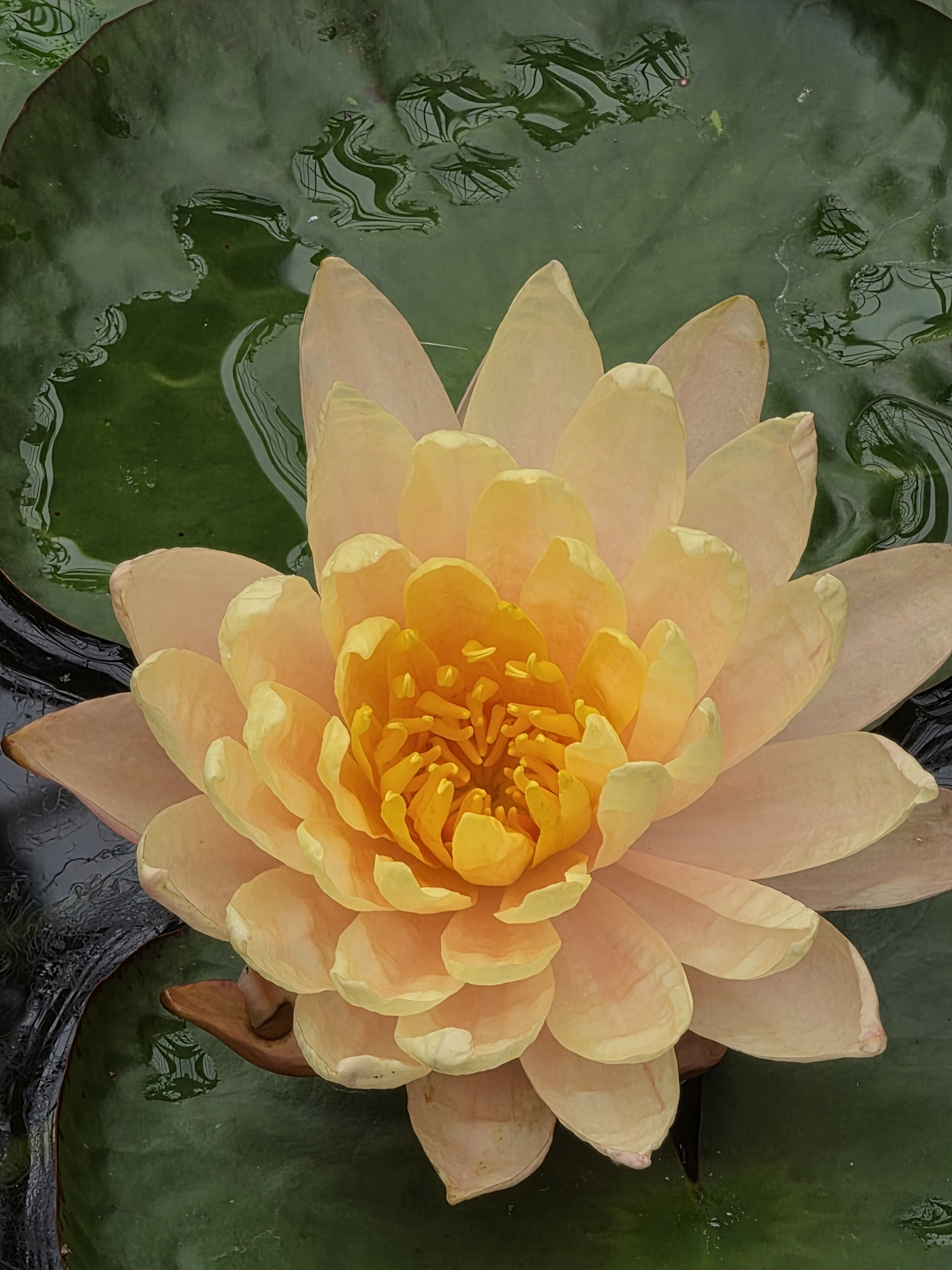 user avatar image for Lynn Bernhardt