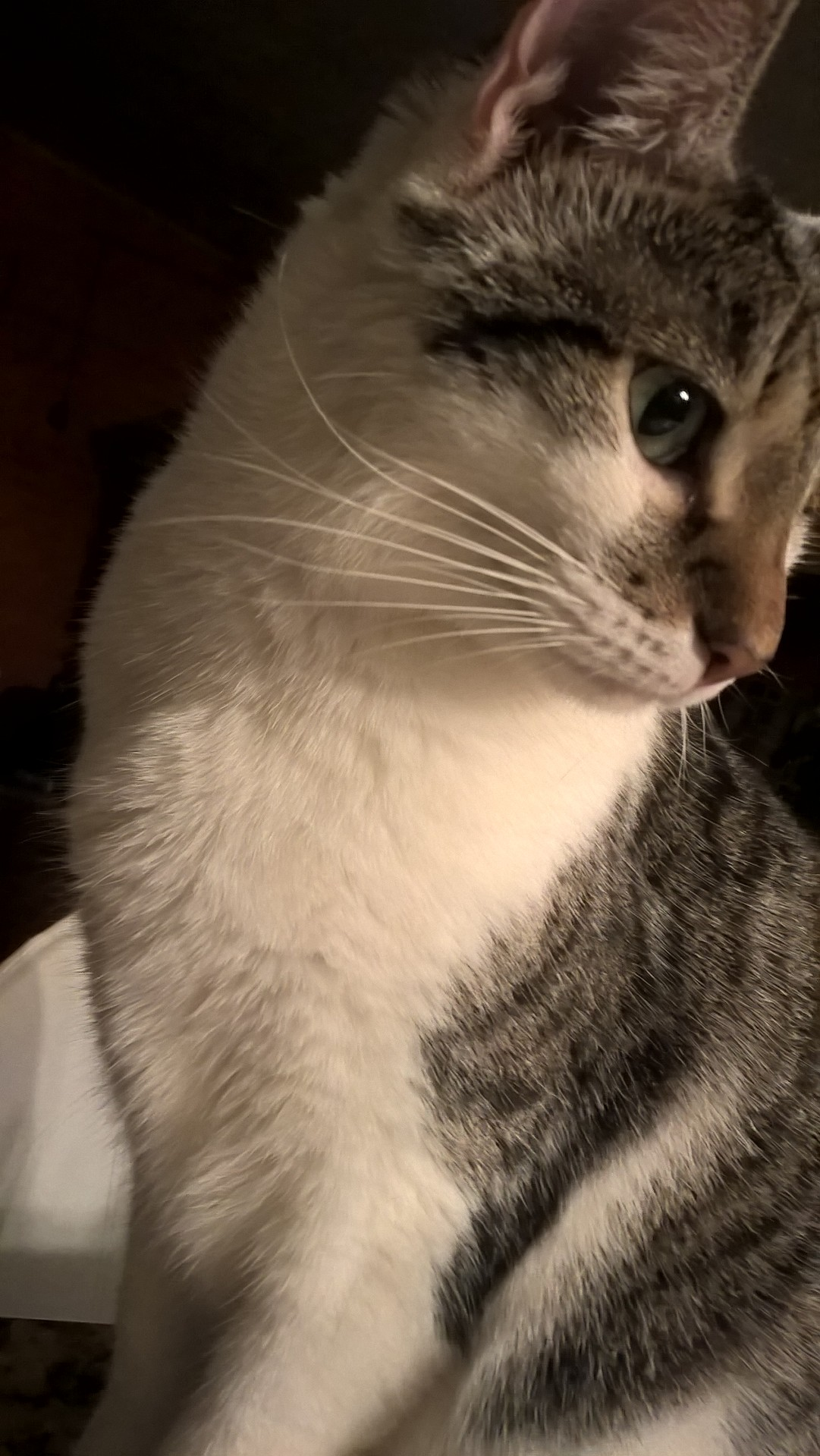 user avatar image for RJ