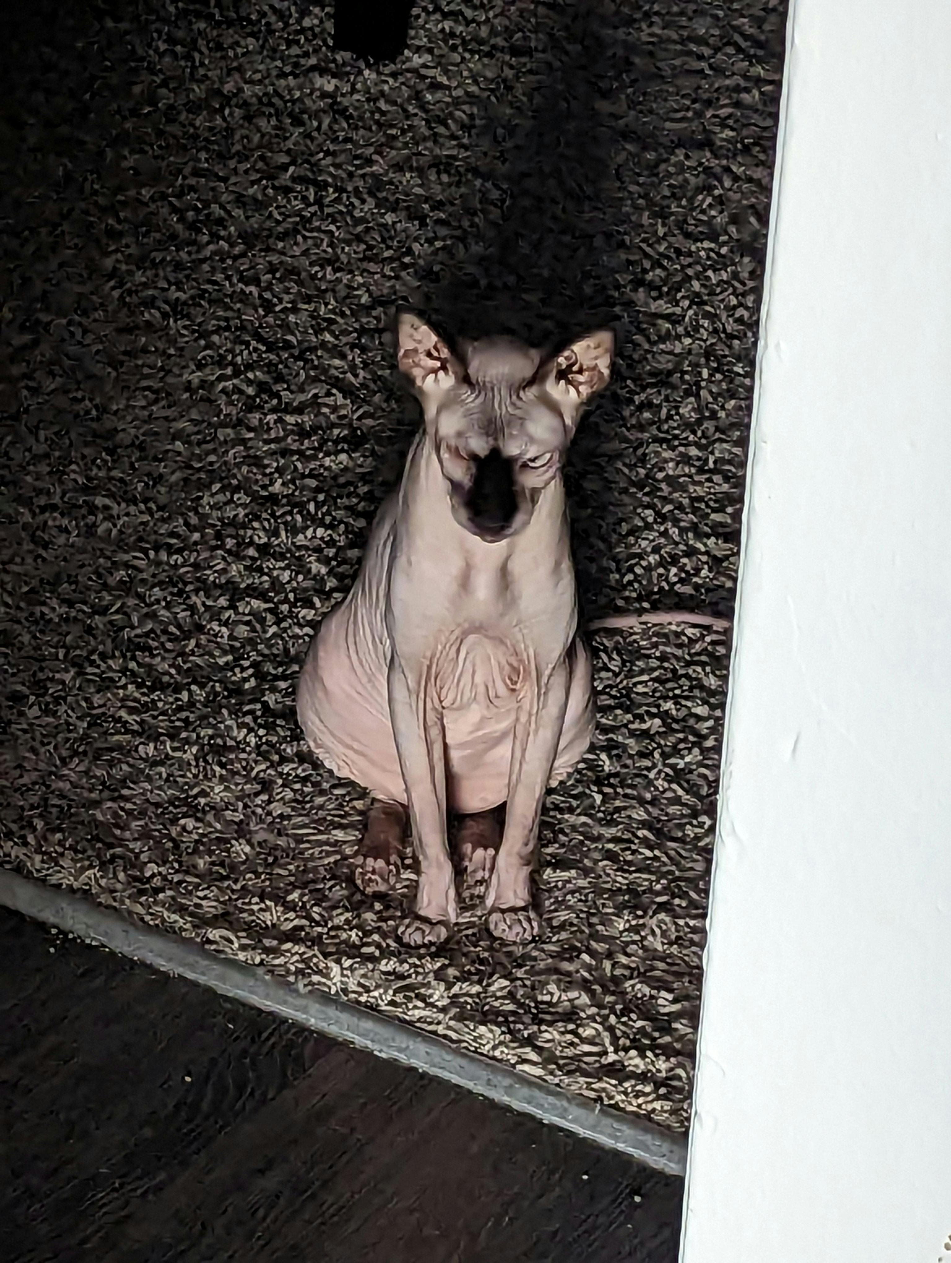 user avatar image for Jbrowning87