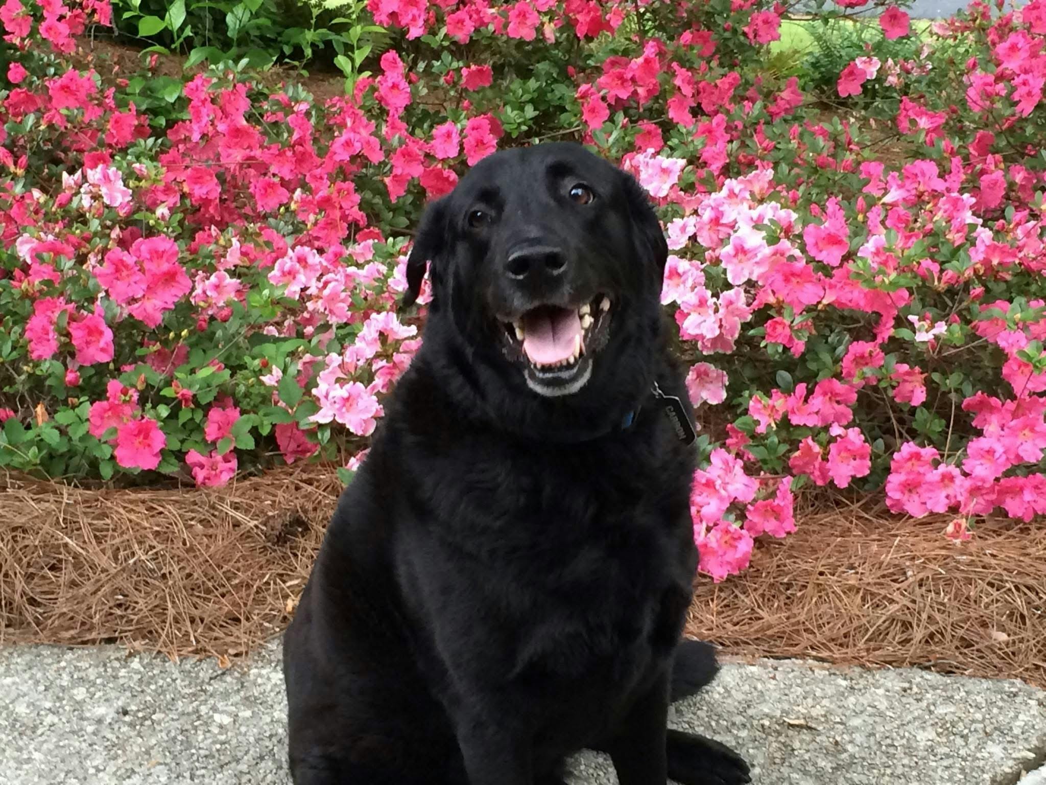 user avatar image for Elizabeth Burns