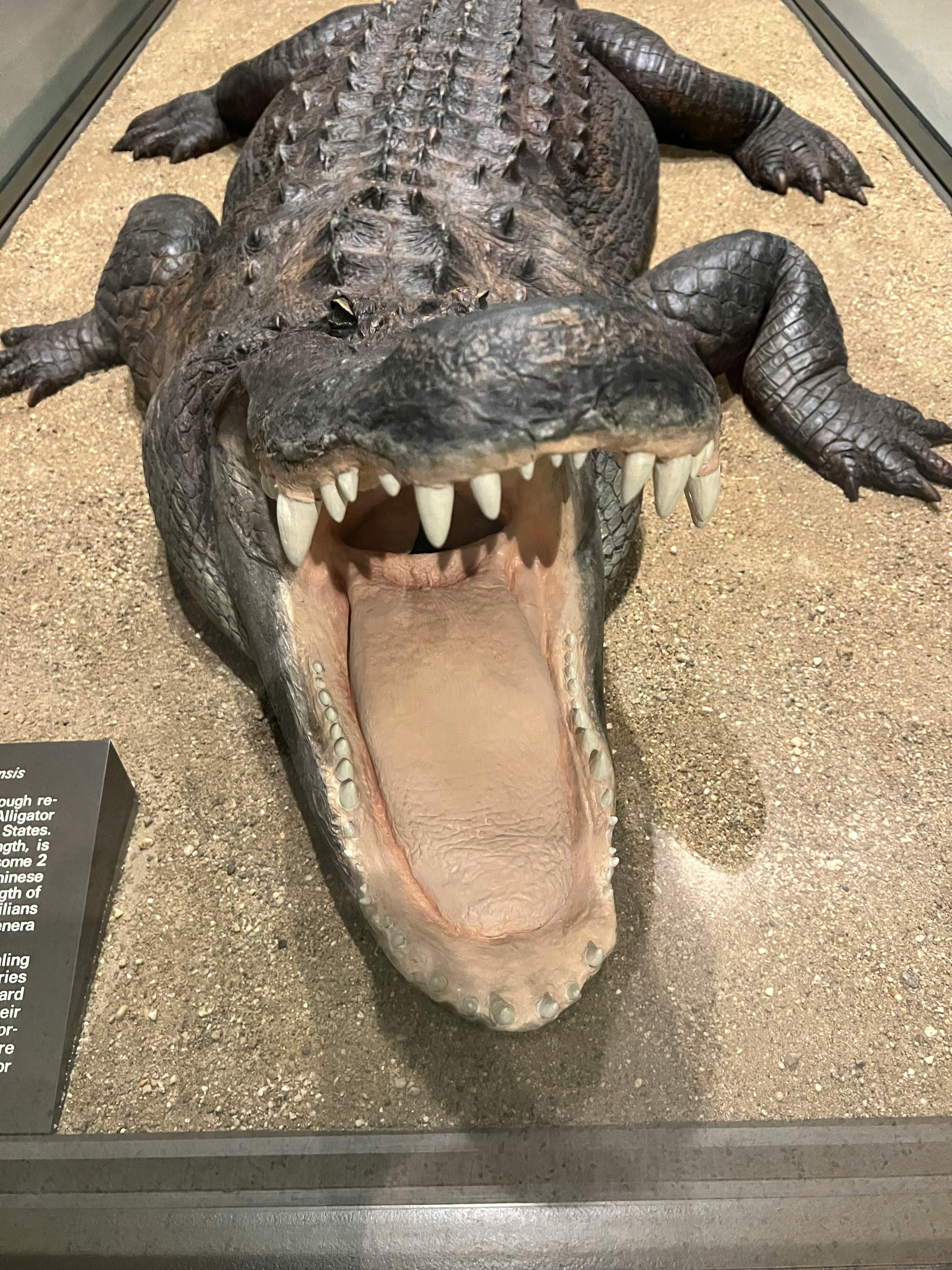 user avatar image for Daniel Hong