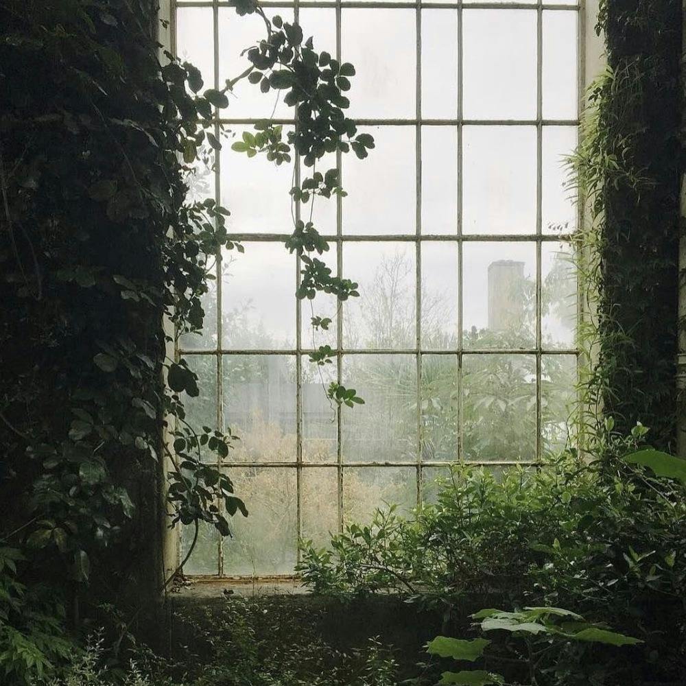 user avatar image for Luca Espinosa