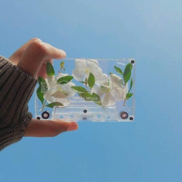 user avatar image for ViAnra