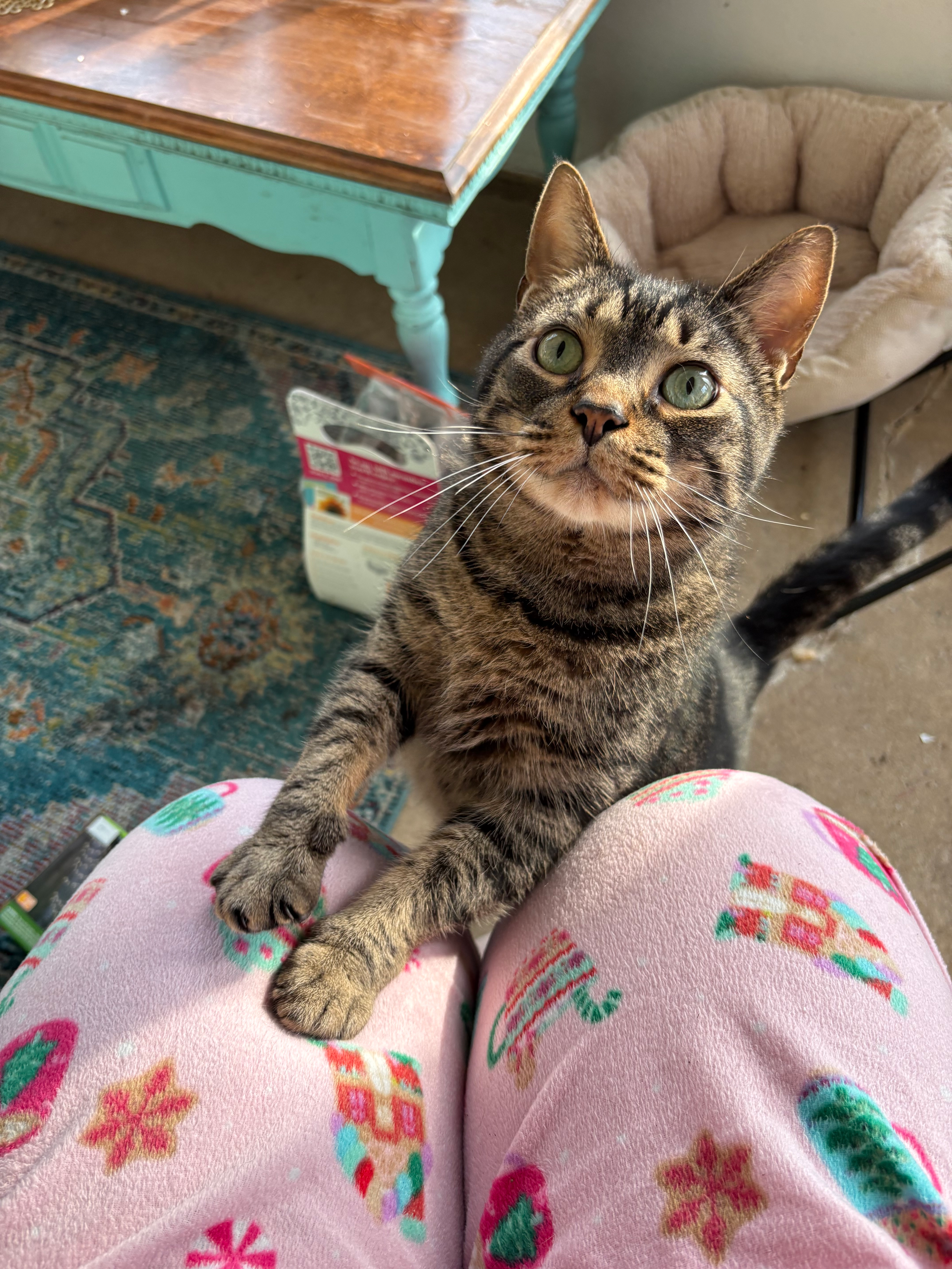 user avatar image for HOLLY