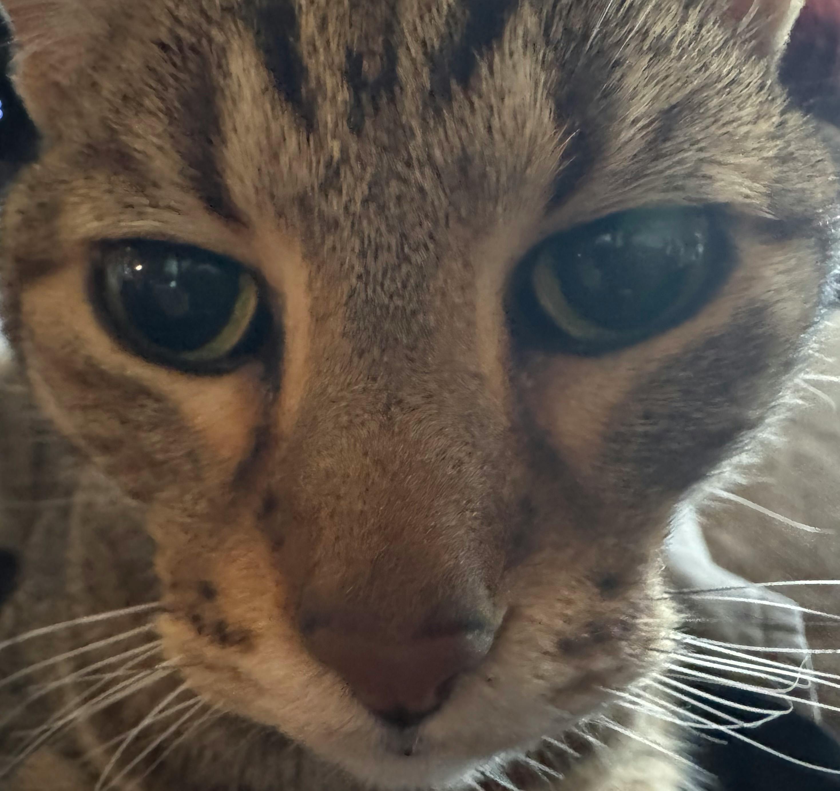 user avatar image for N0isy