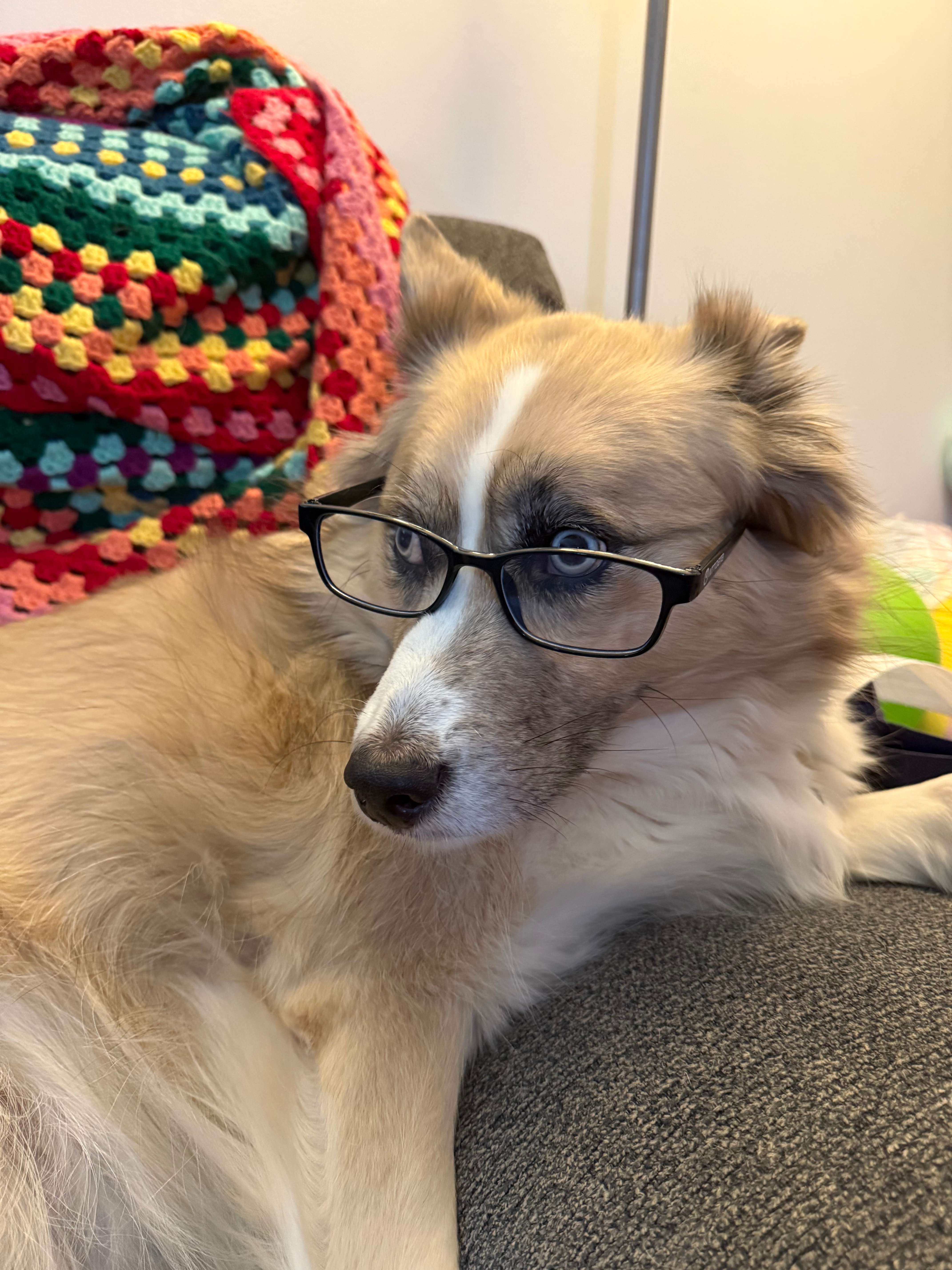 user avatar image for Kristen Wolfe