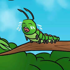 user avatar image for Rowan Jones