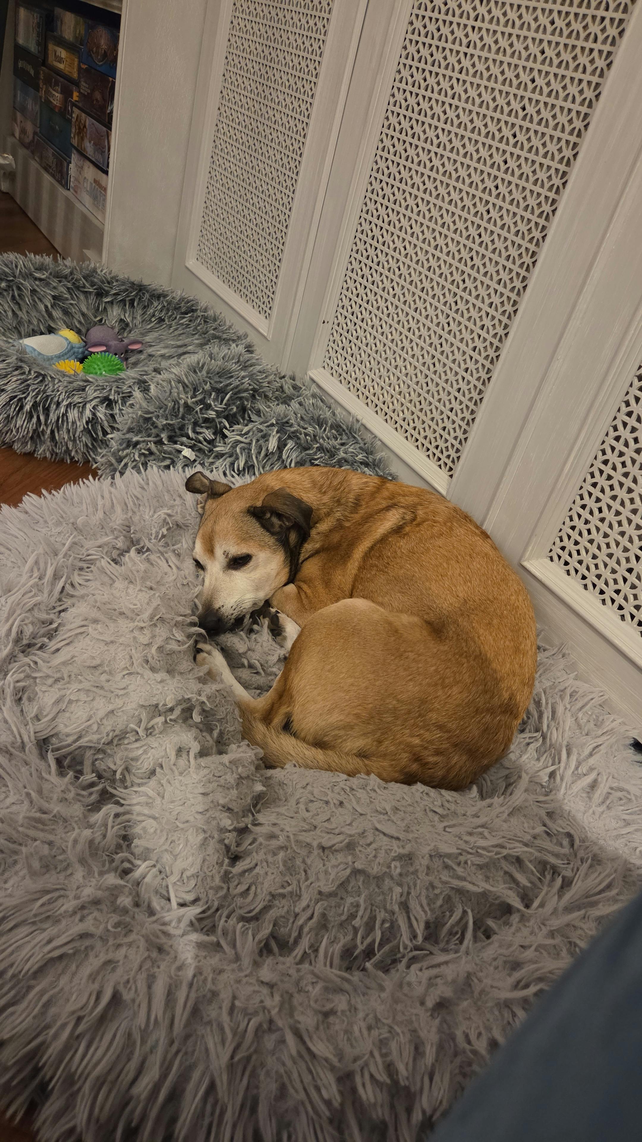 user avatar image for Ernesto