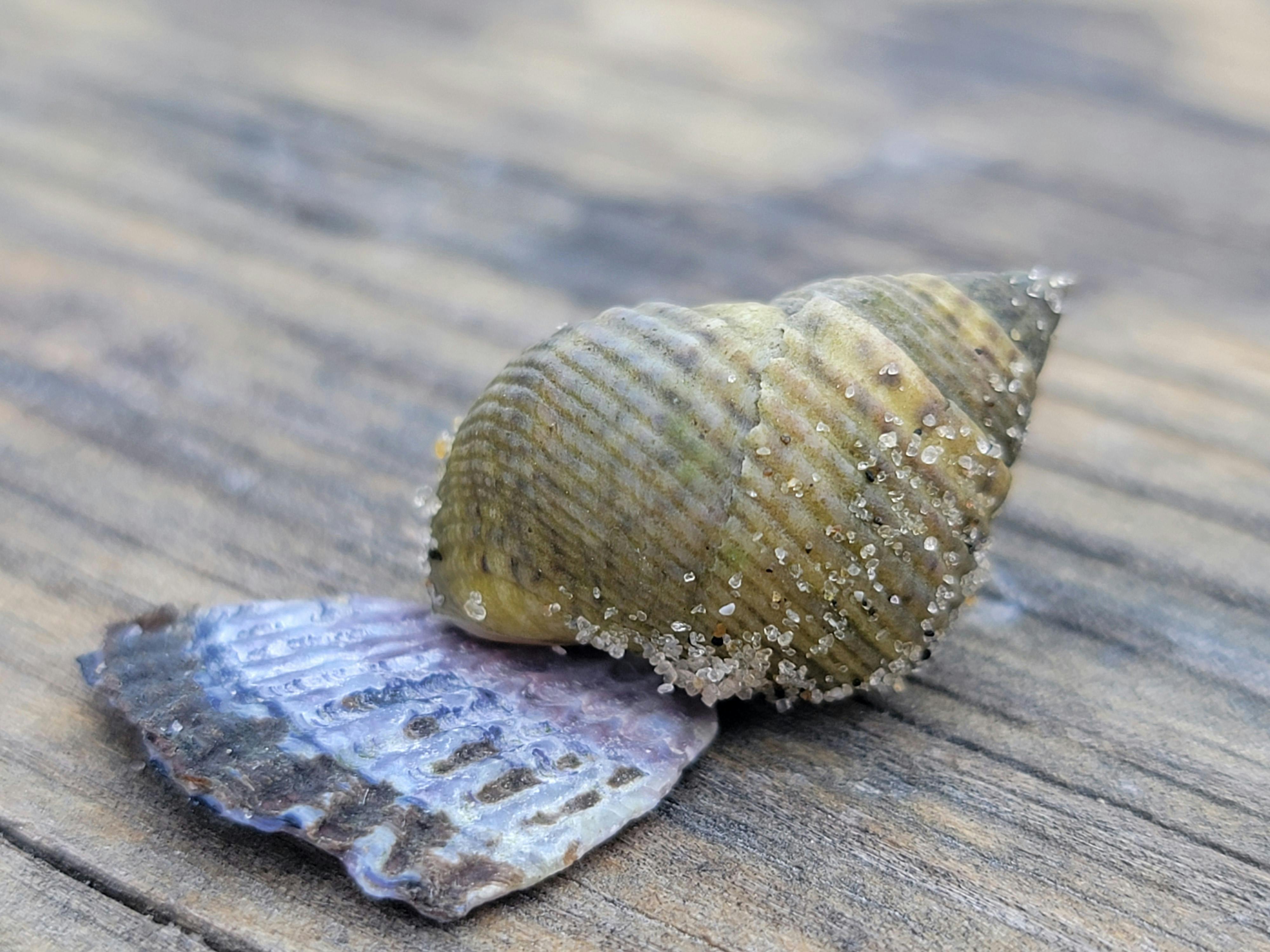 user avatar image for Zola