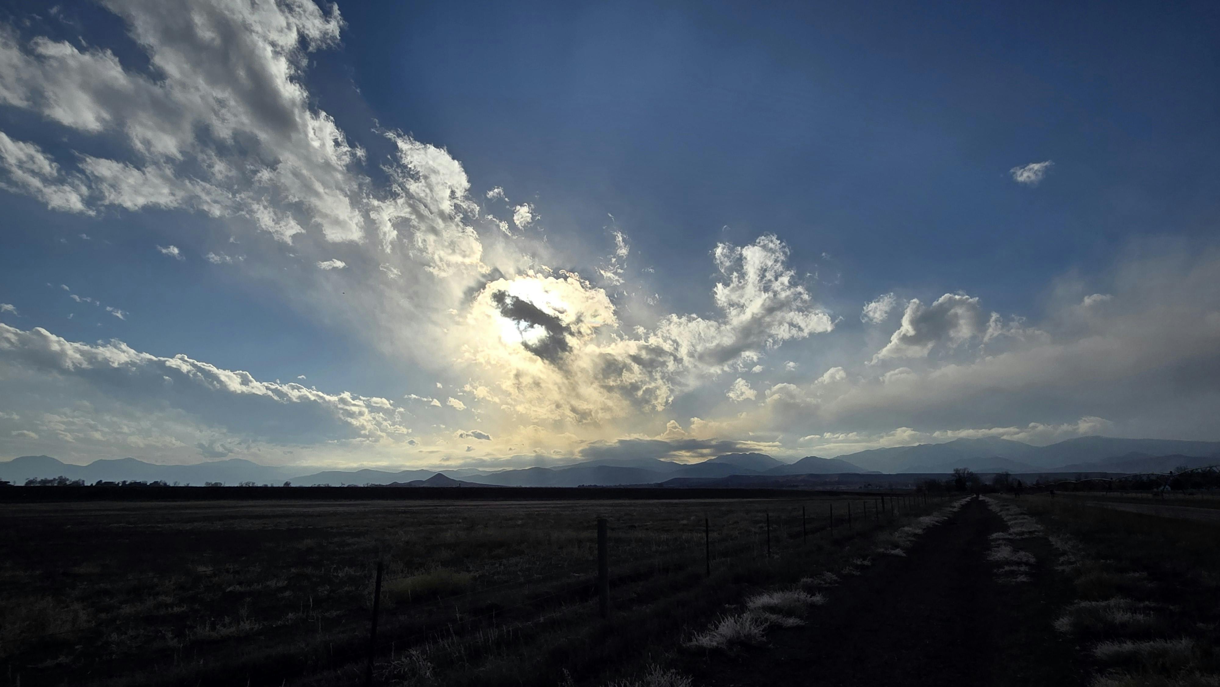 user avatar image for Silvae