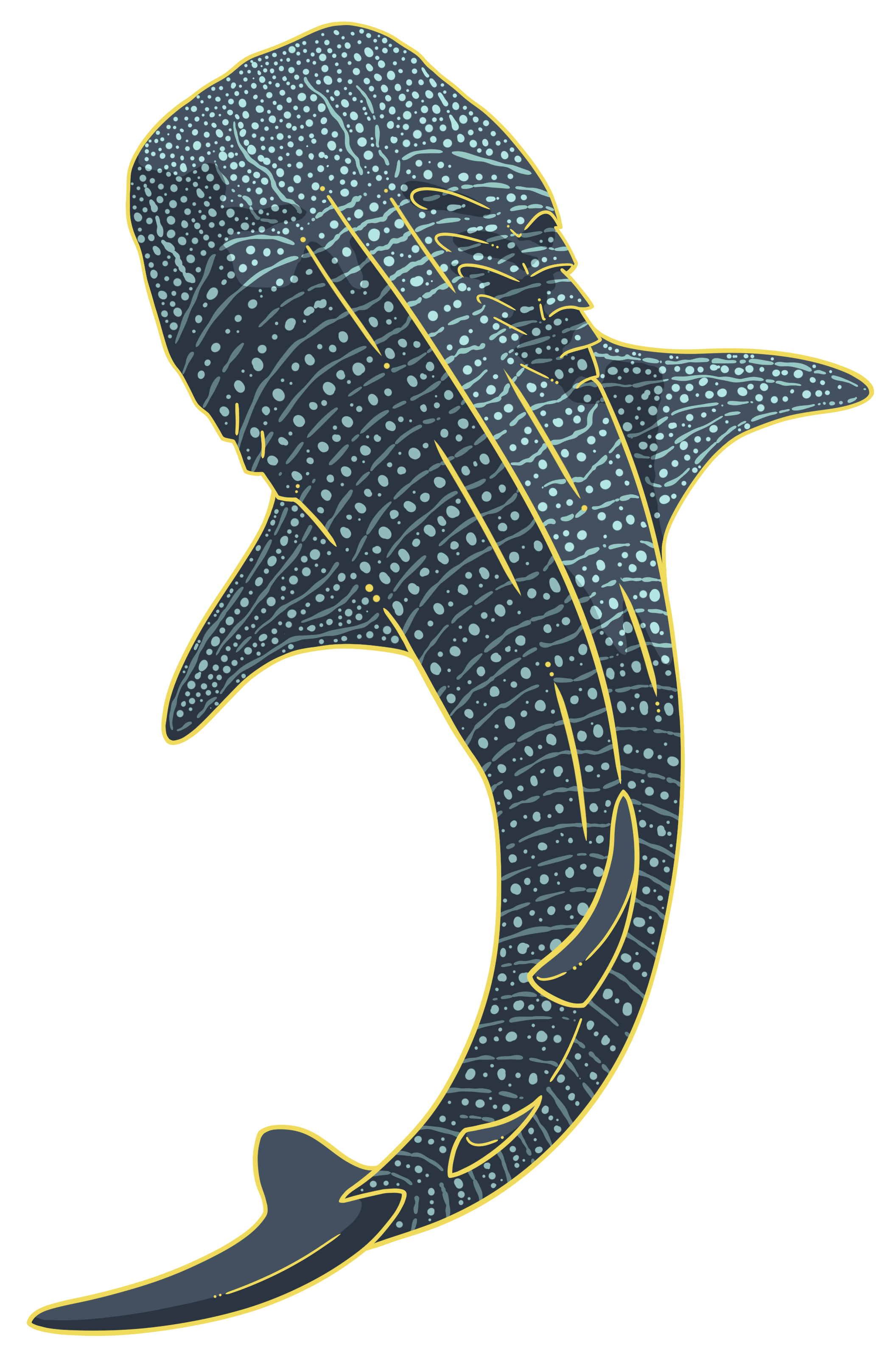 Whaleshark Critter Pin