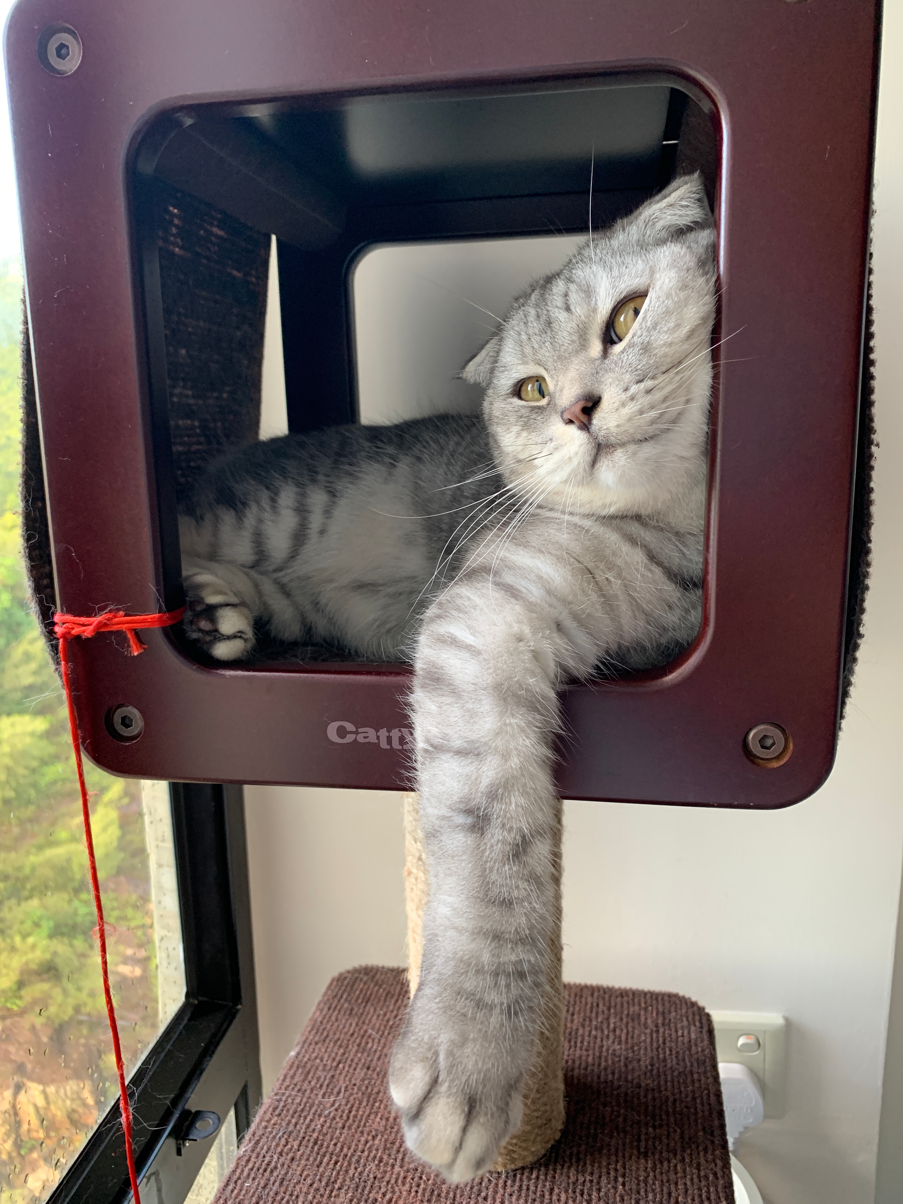 user avatar image for Dwayne Cheung