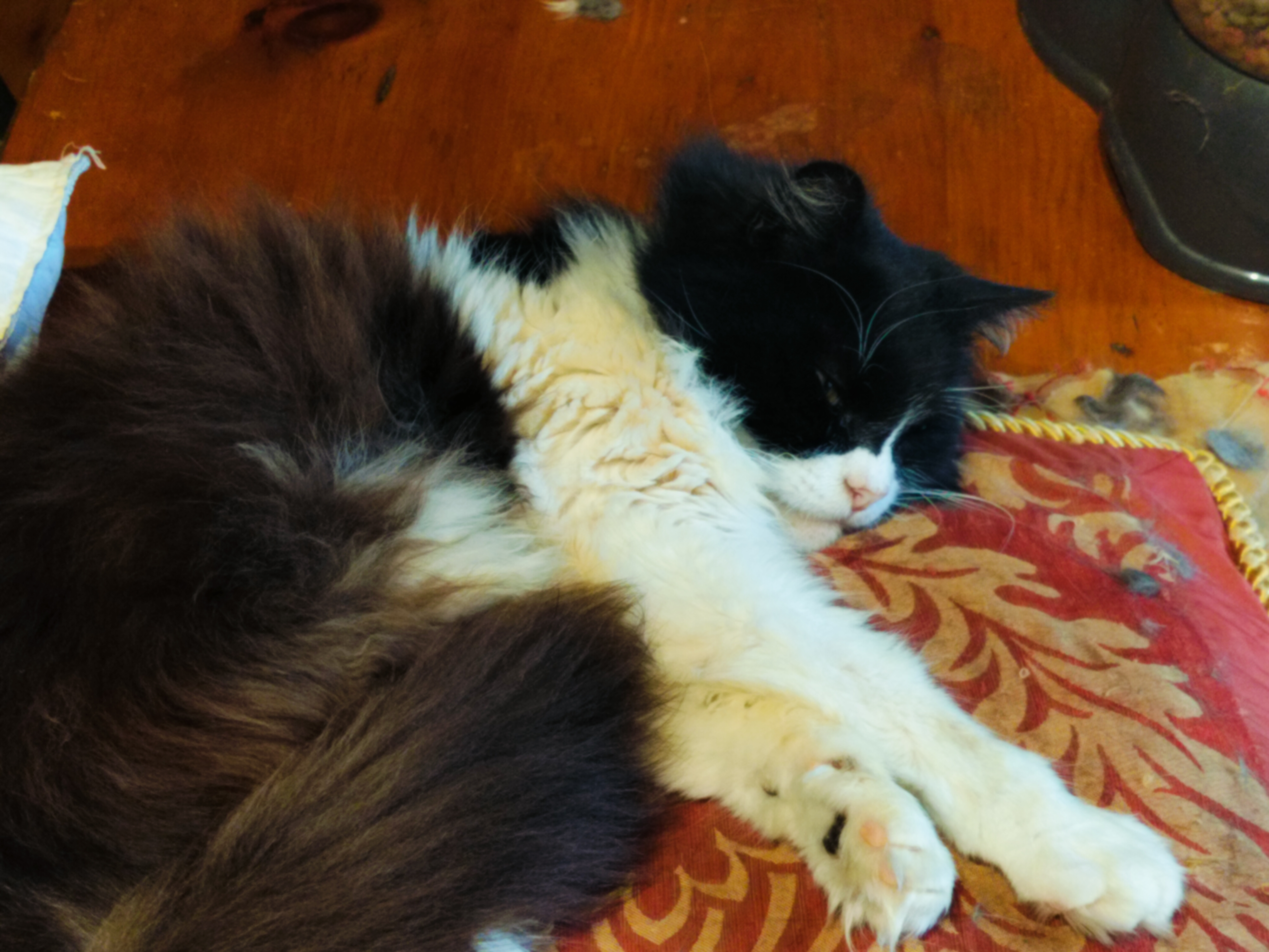 user avatar image for Skarros