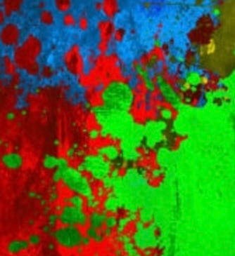 user avatar image for Paul Dulick