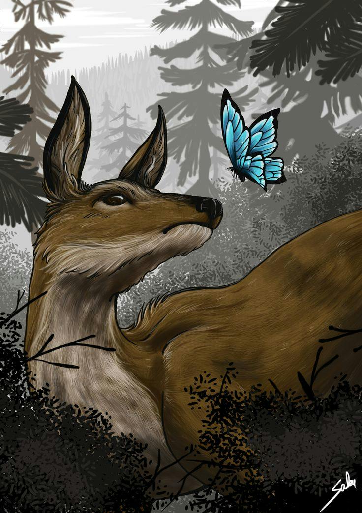 user avatar image for dragoncat 