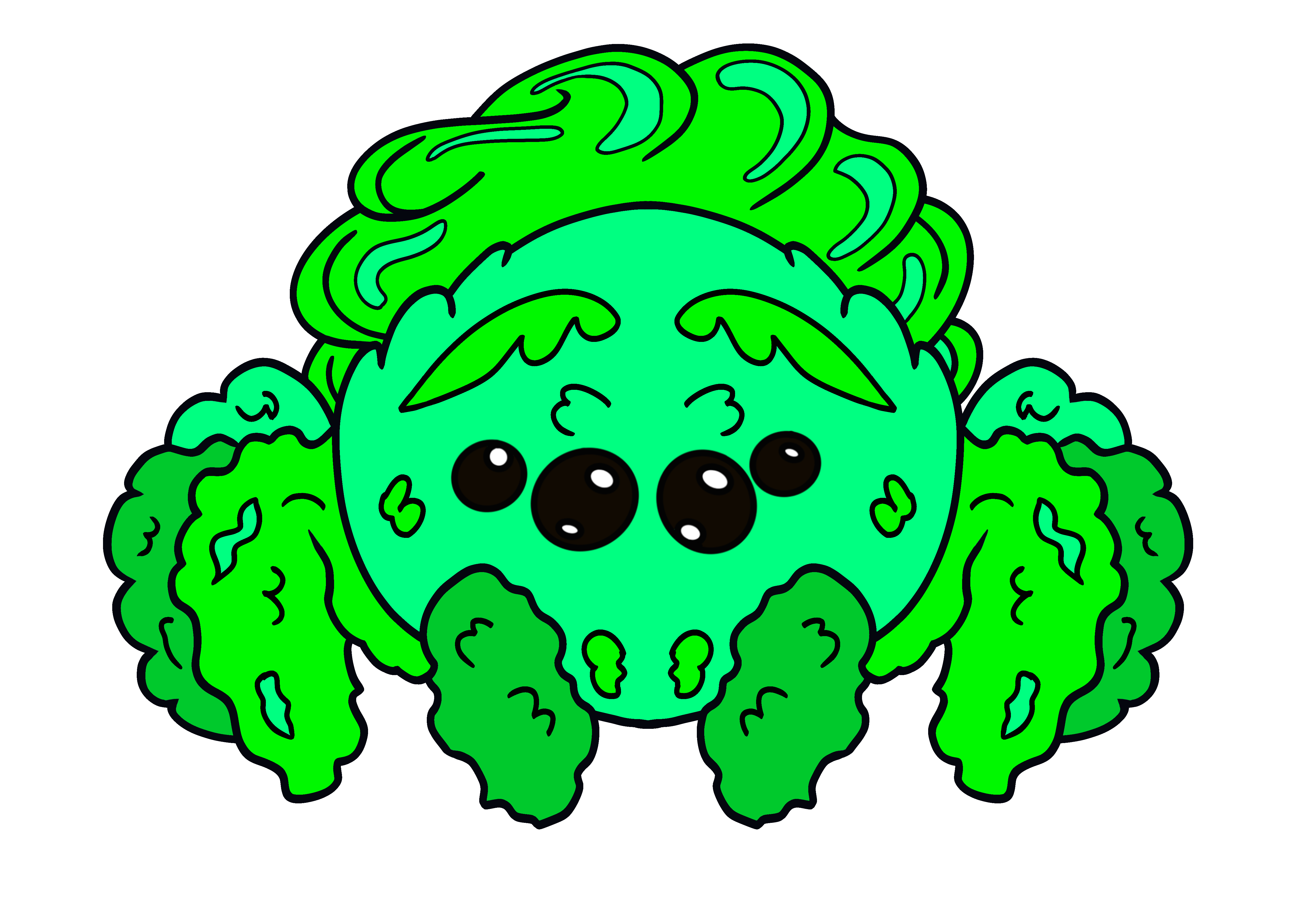 Candy Floss Green Jumping Spider