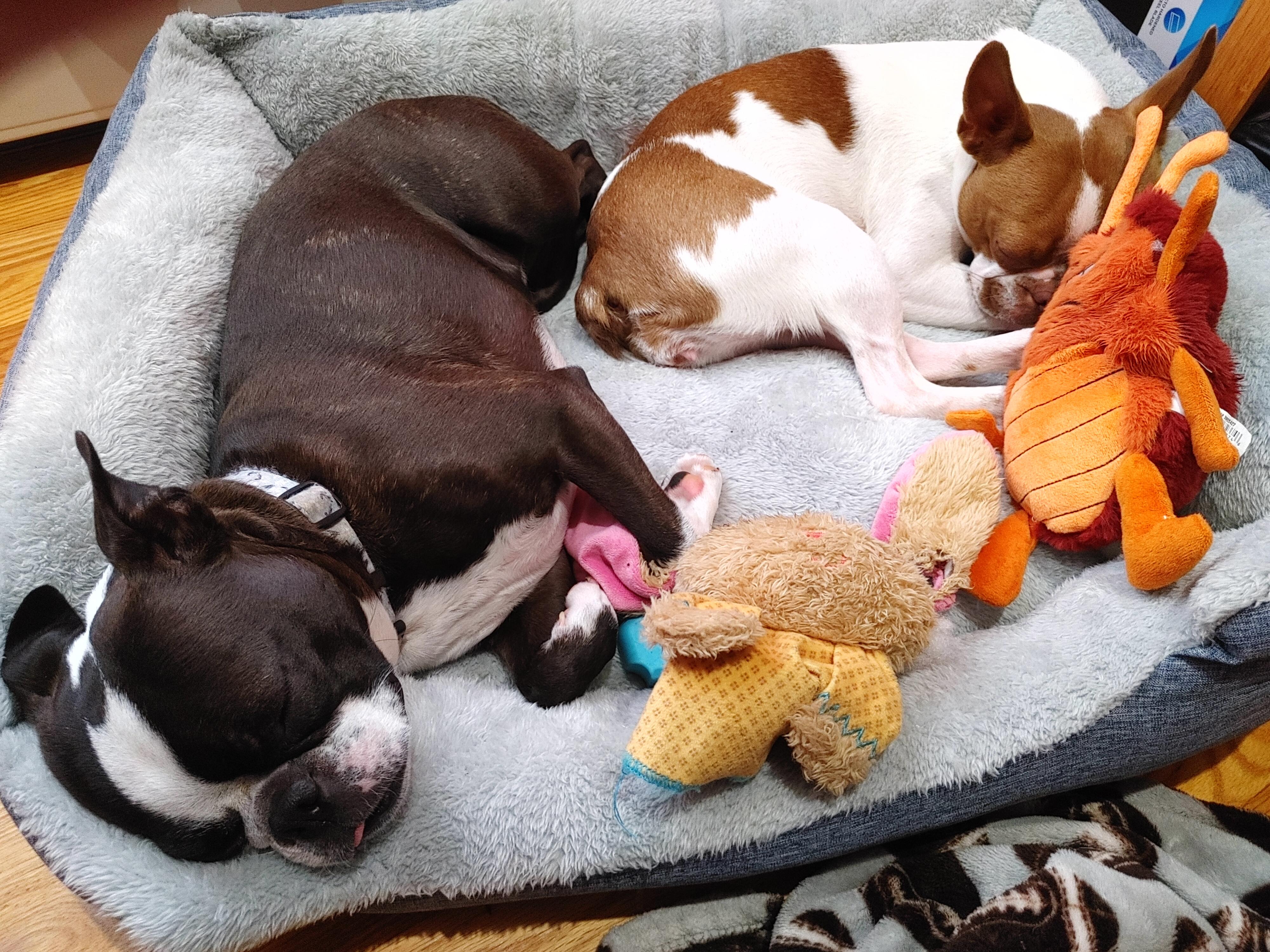 user avatar image for CBerubeJr