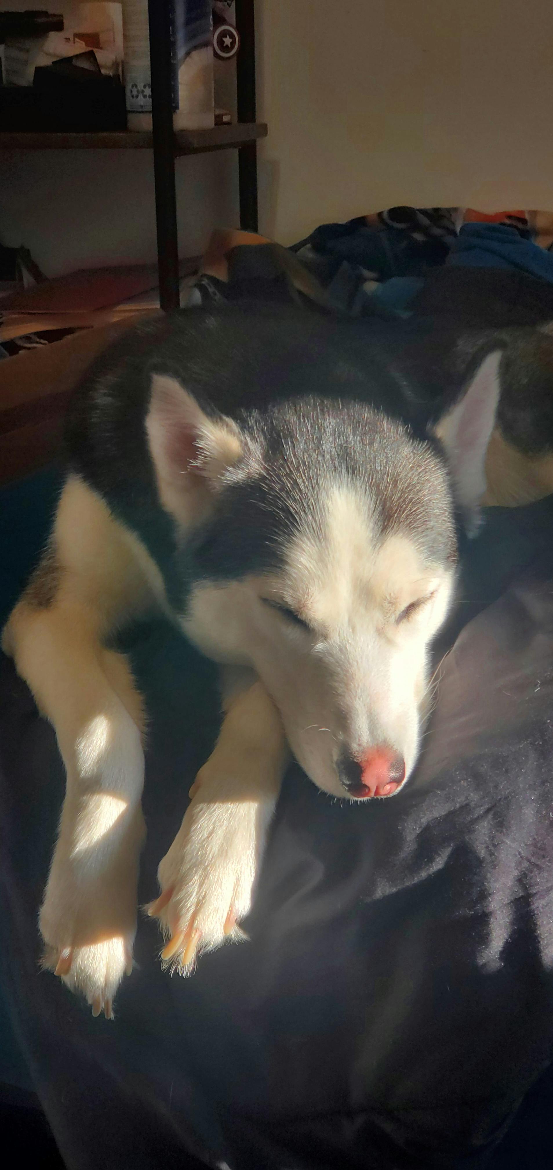 user avatar image for Bettina Kelley