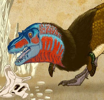 user avatar image for Raven Amos