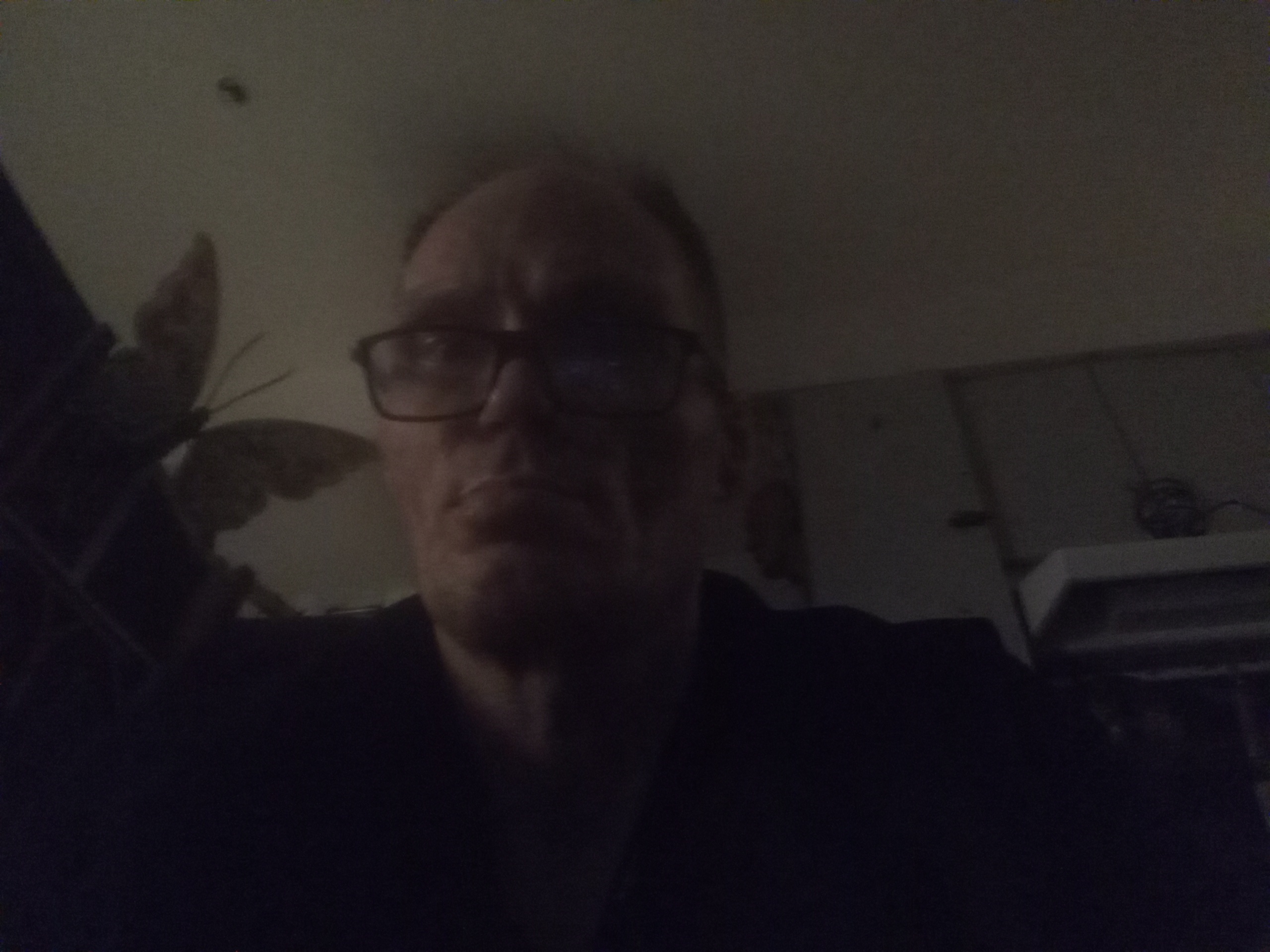 user avatar image for James Pais