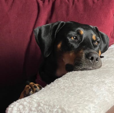 user avatar image for Nicki