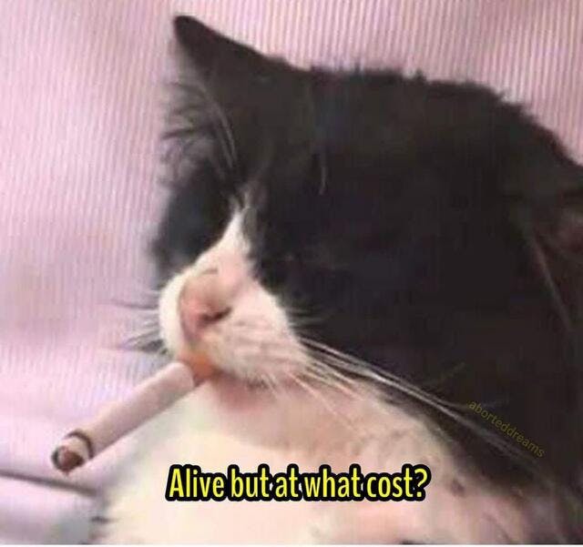 user avatar image for Ian O