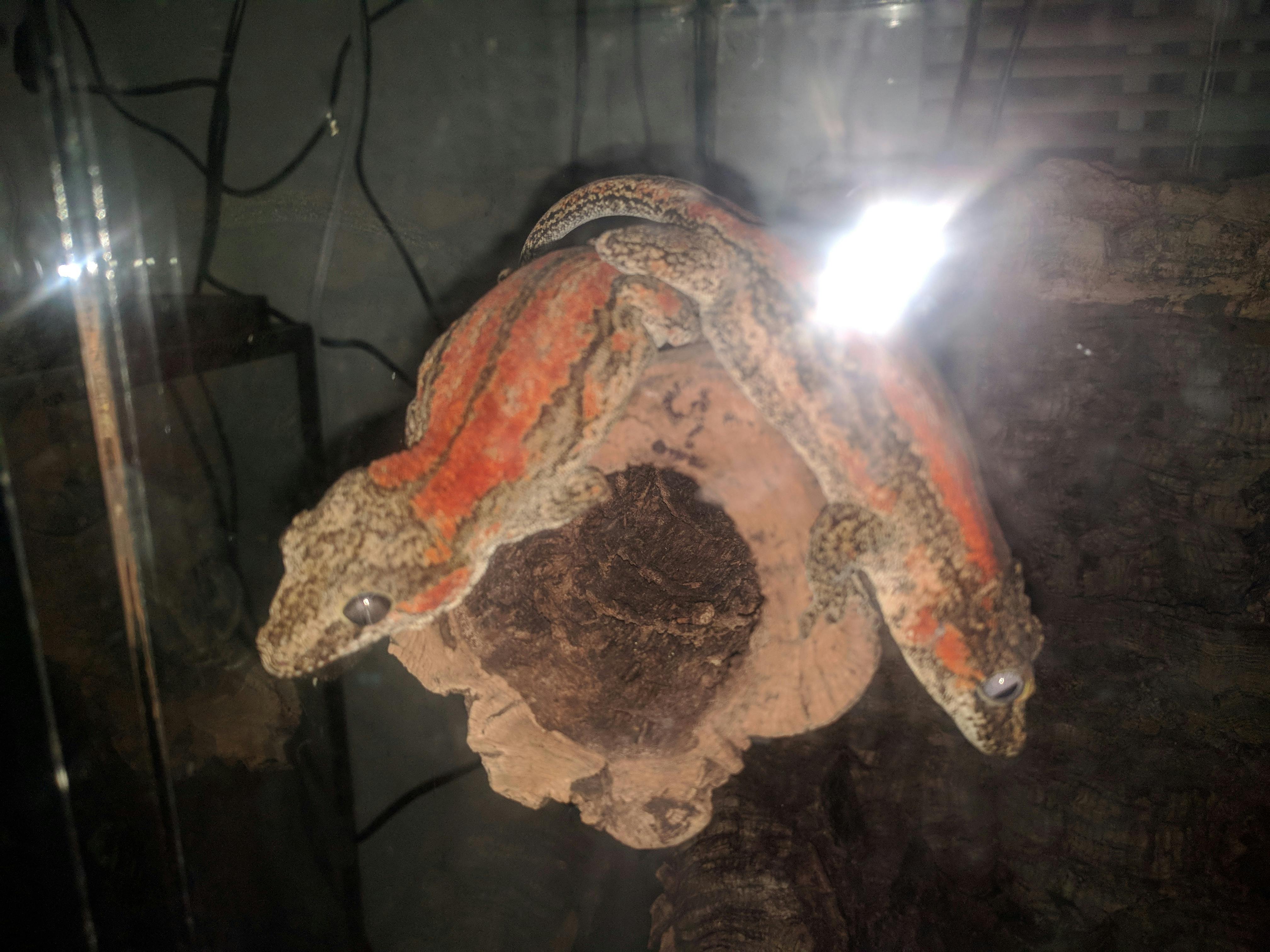 user avatar image for Romans832