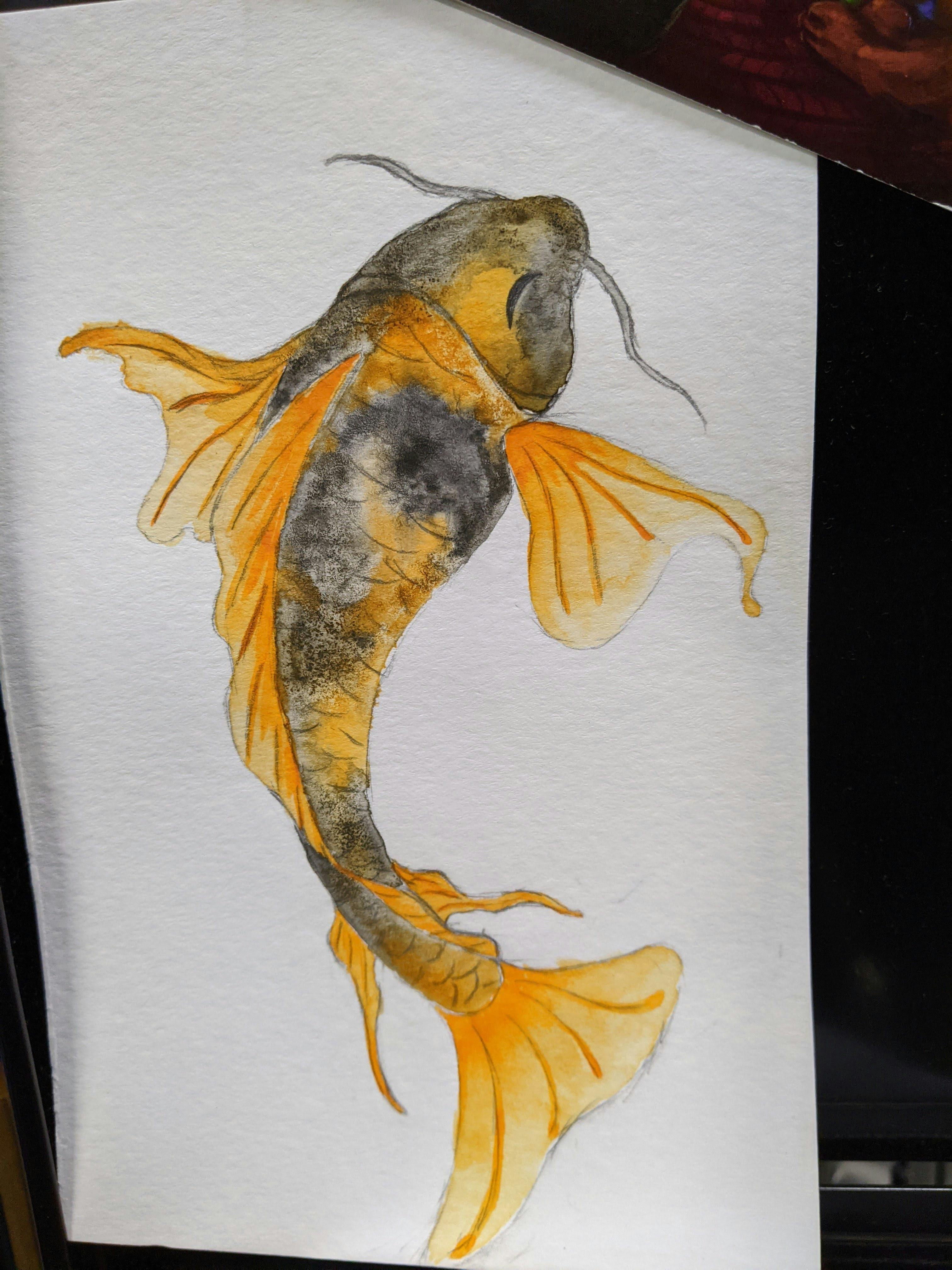 user avatar image for Koi Steele-Weigand