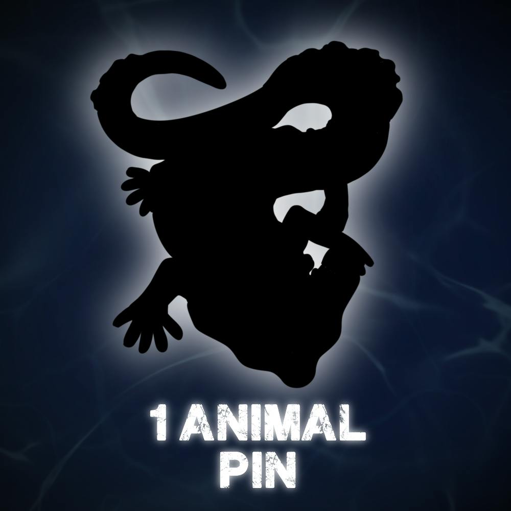 First discovery: 1 Animal