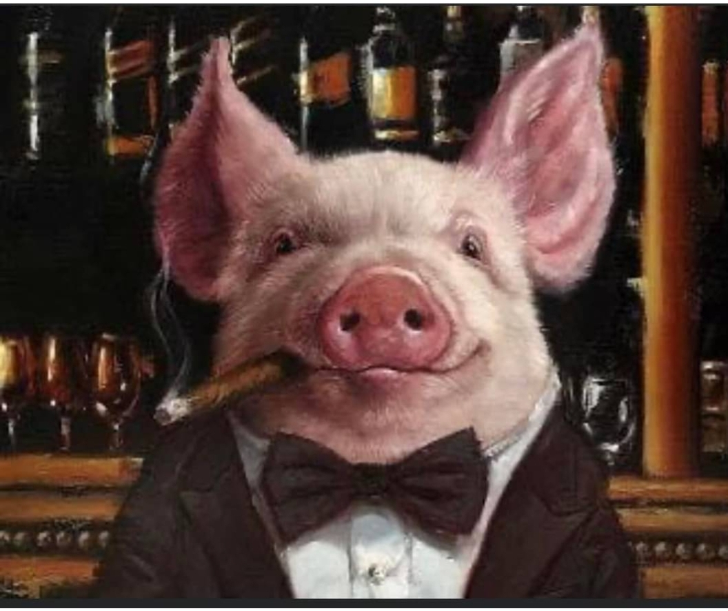user avatar image for Rob G