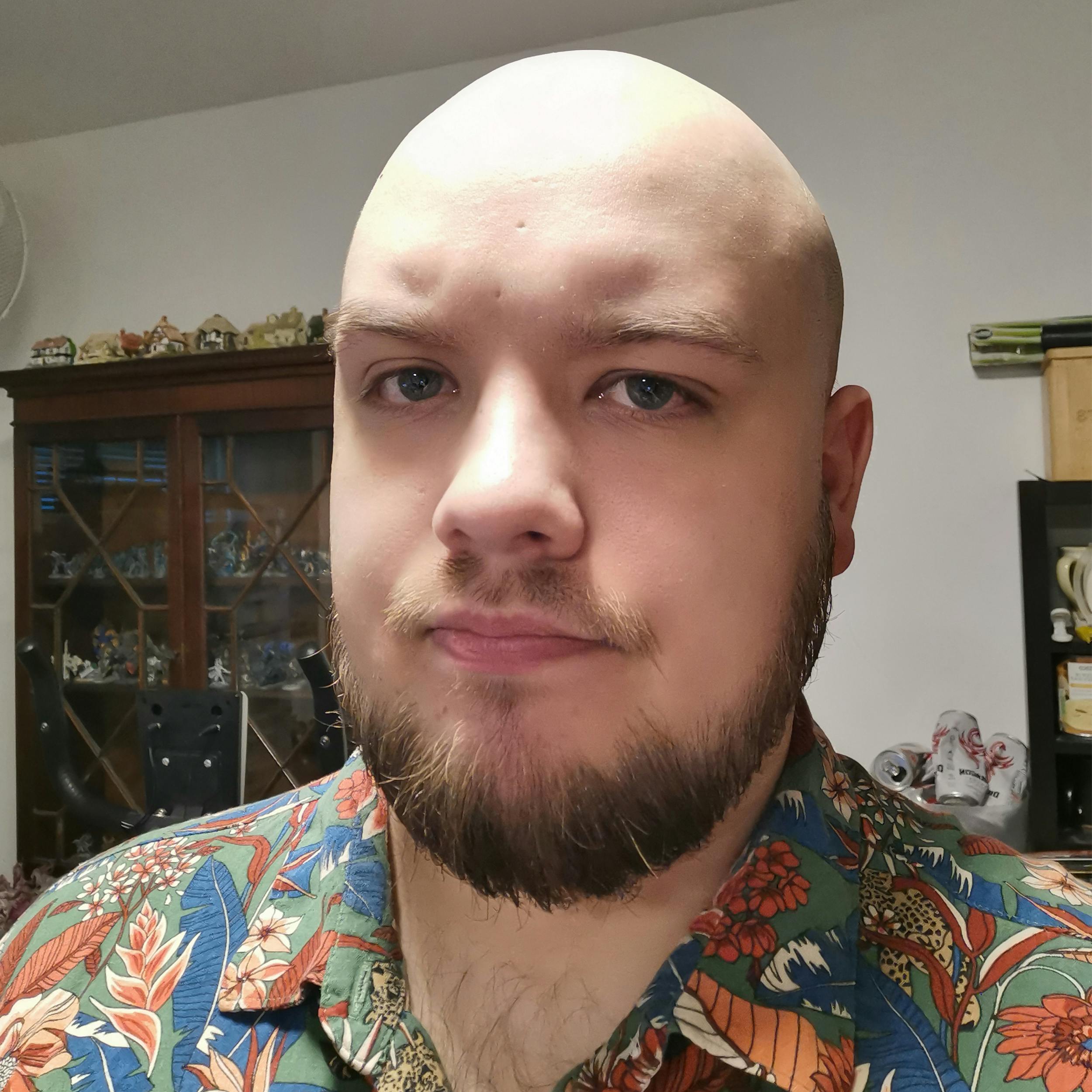 user avatar image for SeanLandDGeorge