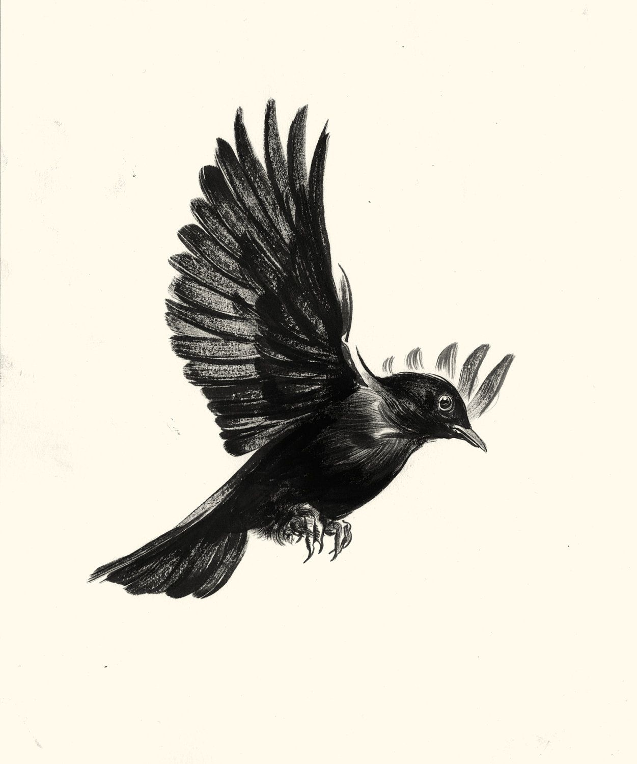 user avatar image for fmerl1