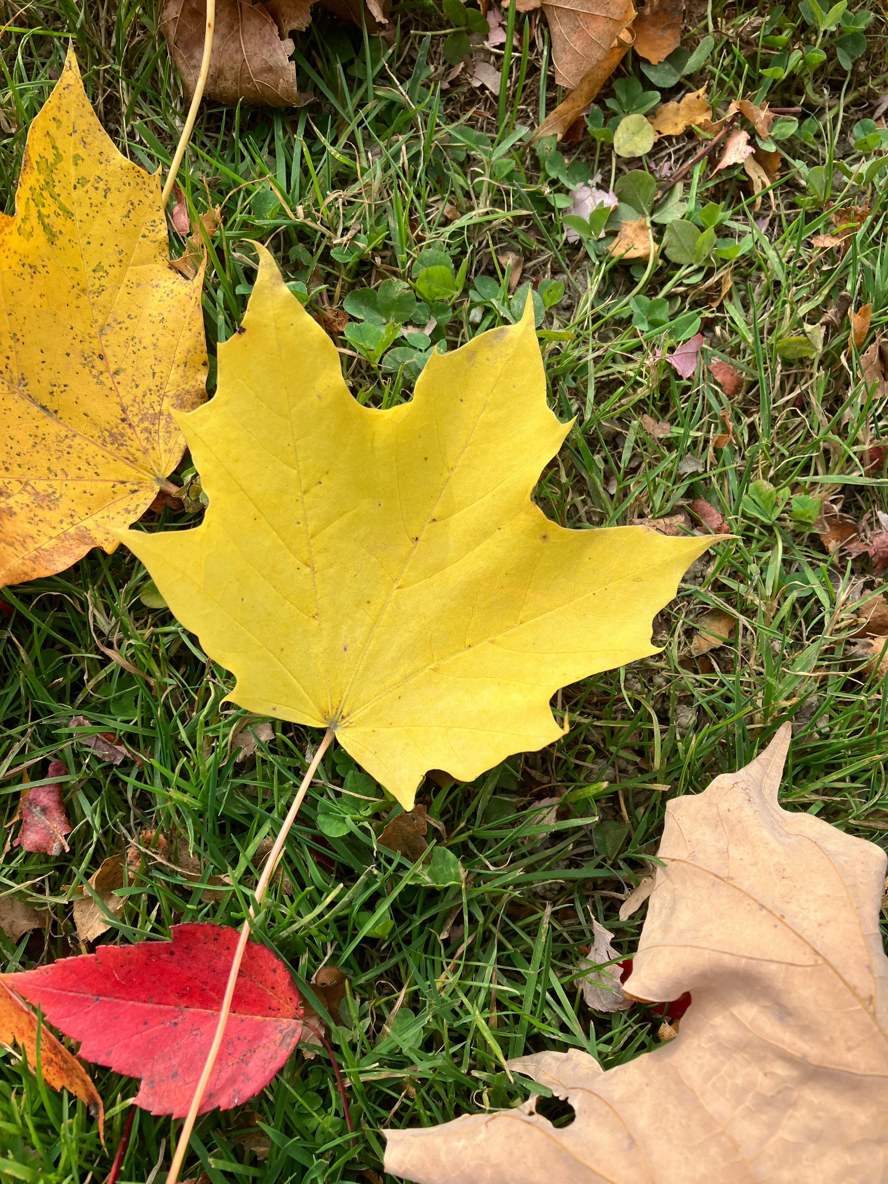 user avatar image for Victoria Harding